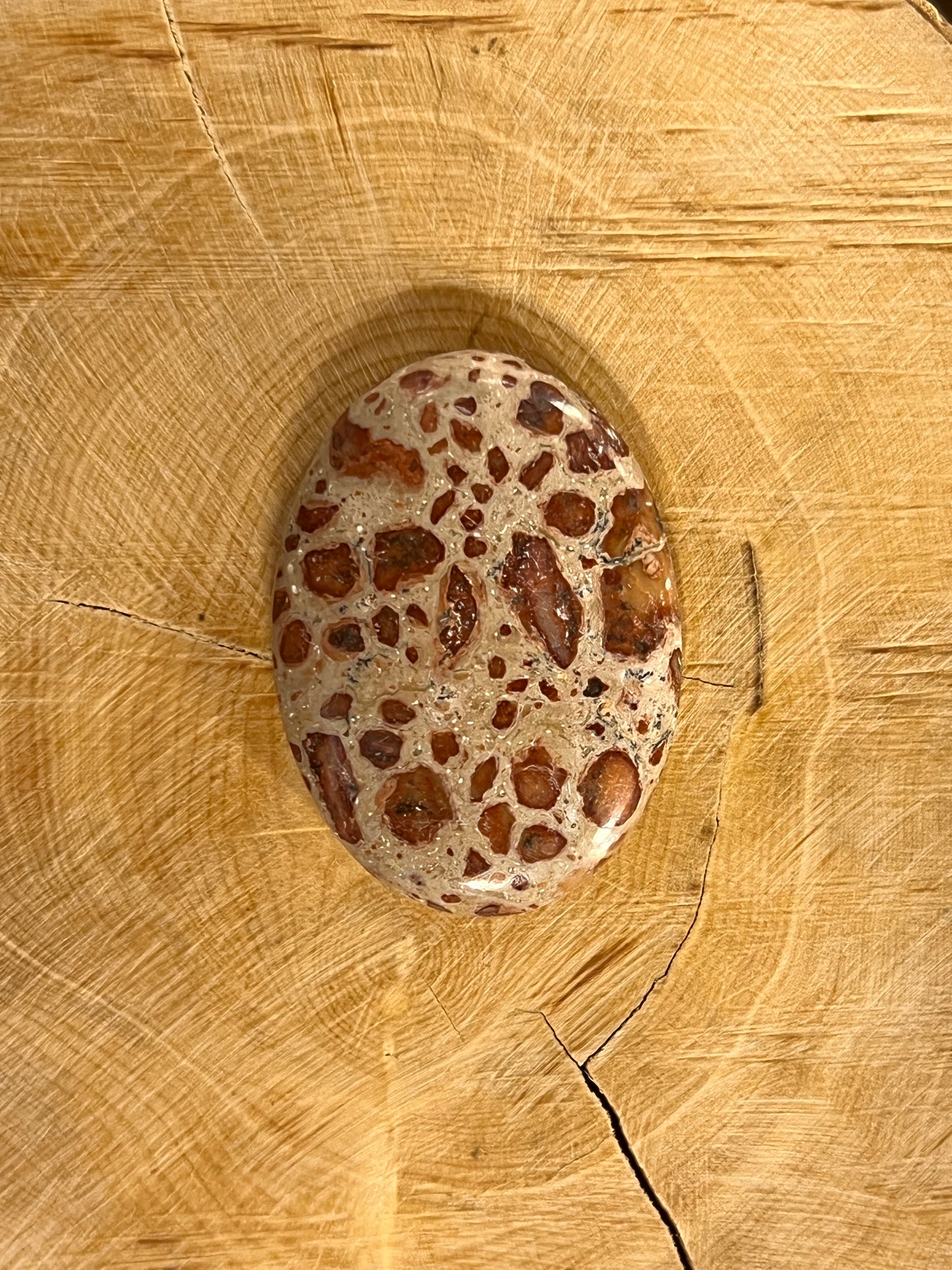 Jaspe Léopard n°5 (3,4cm x 2,4cm)