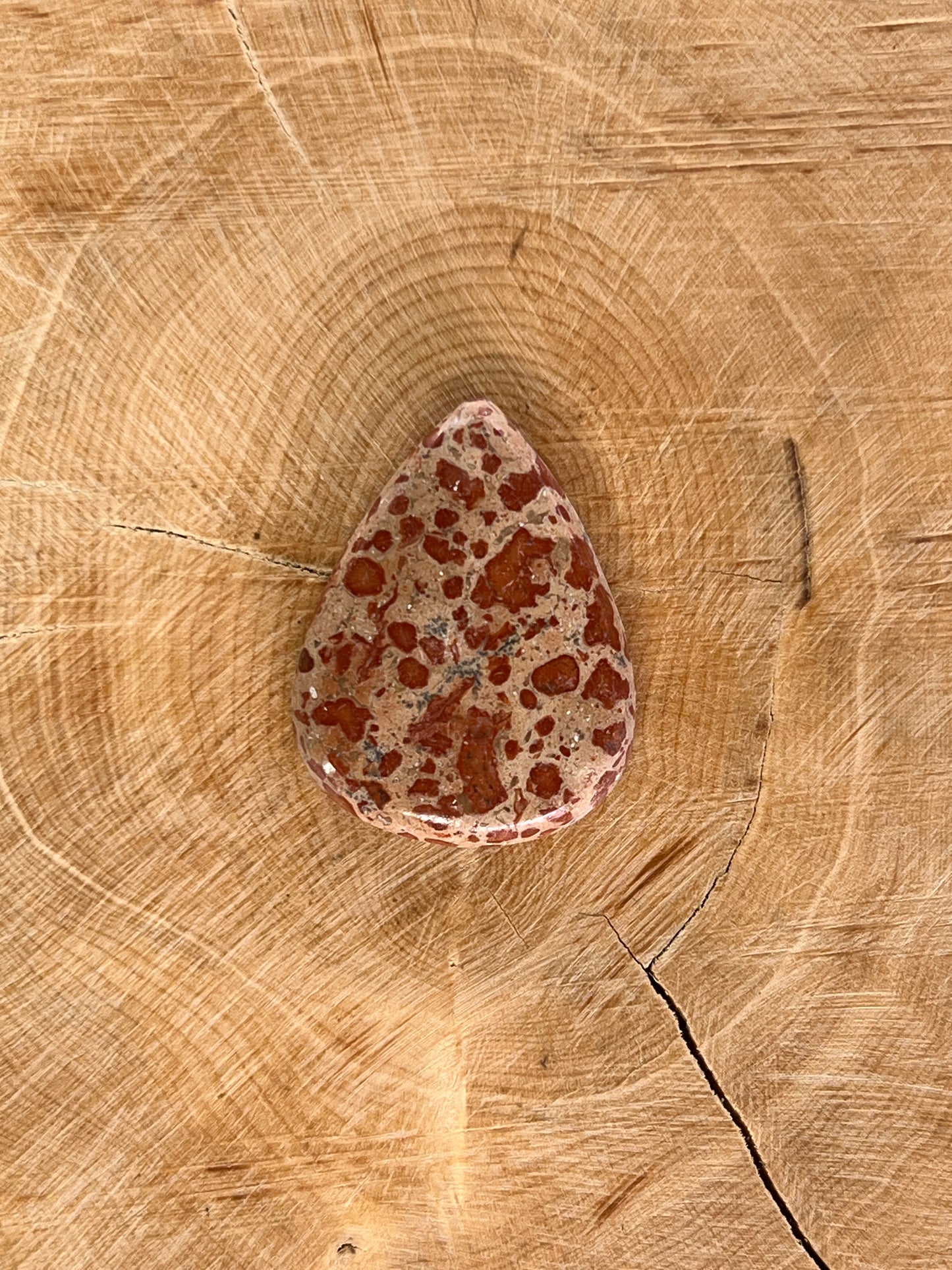 Jaspe Léopard n°1 (2,7cm x 1,9cm )