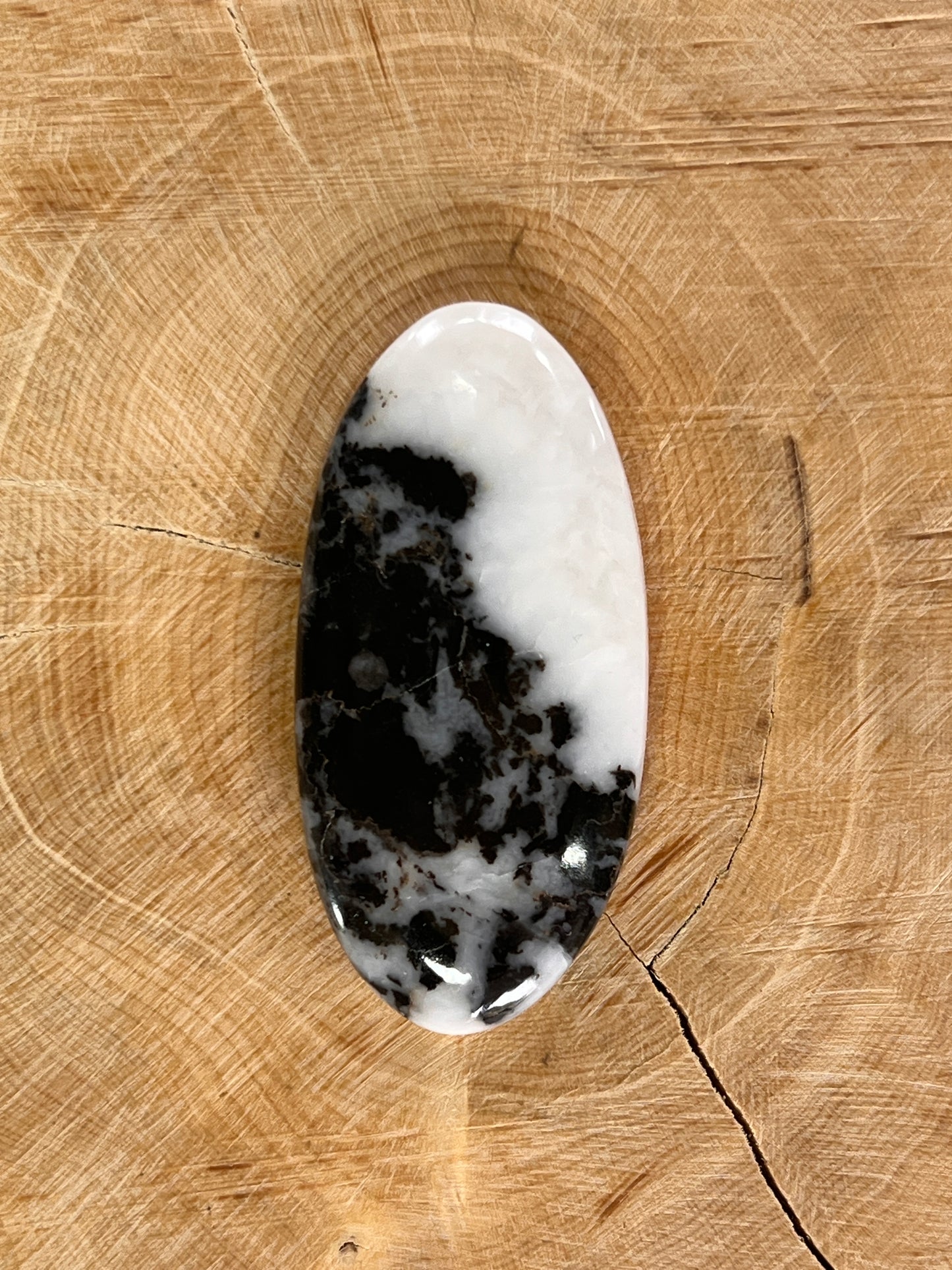 Jaspe zèbre n°1 (4,4cm x 2,1cm)