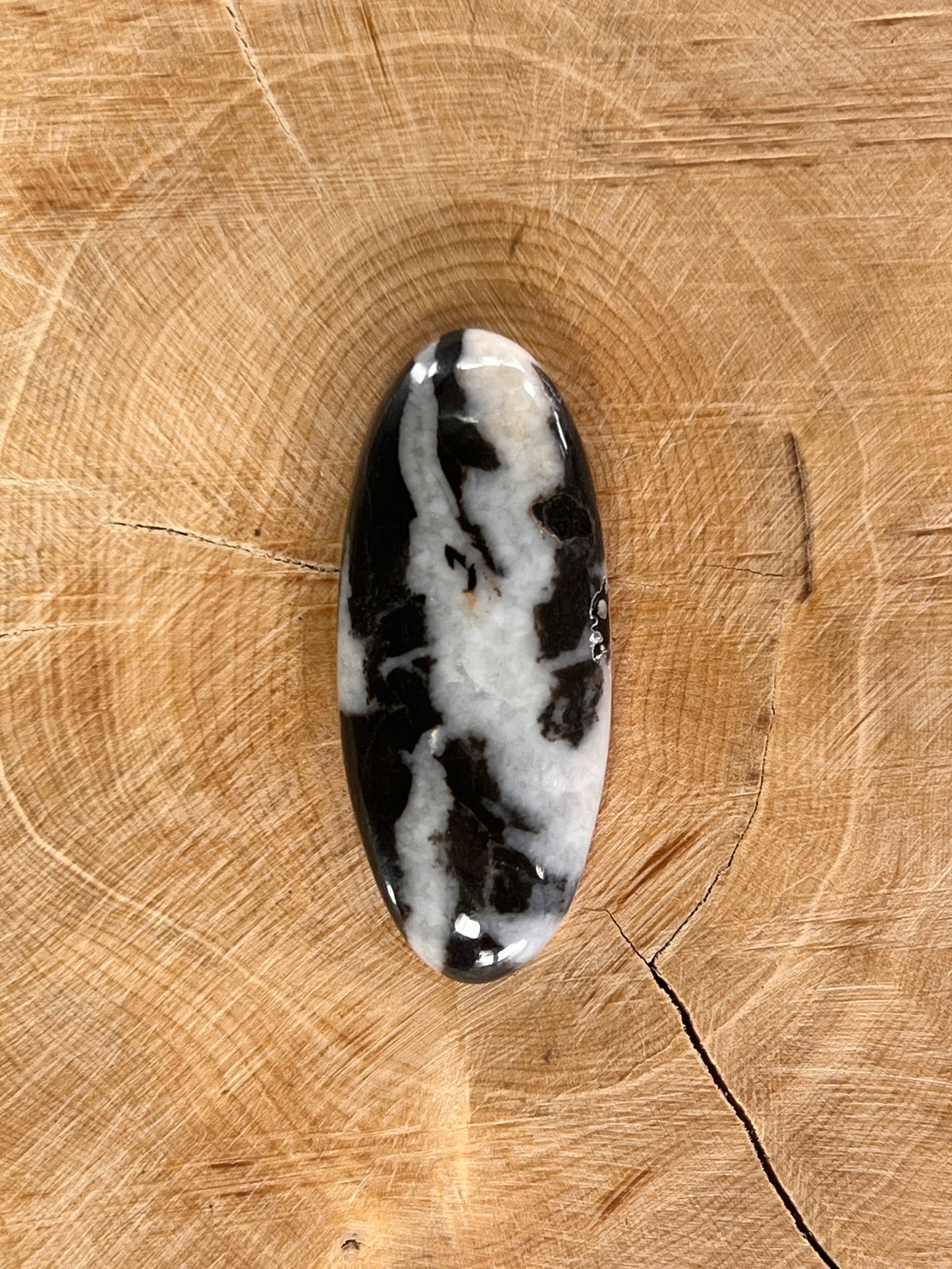 Jaspe zèbre n°5 (3,9cm x 1,7cm)