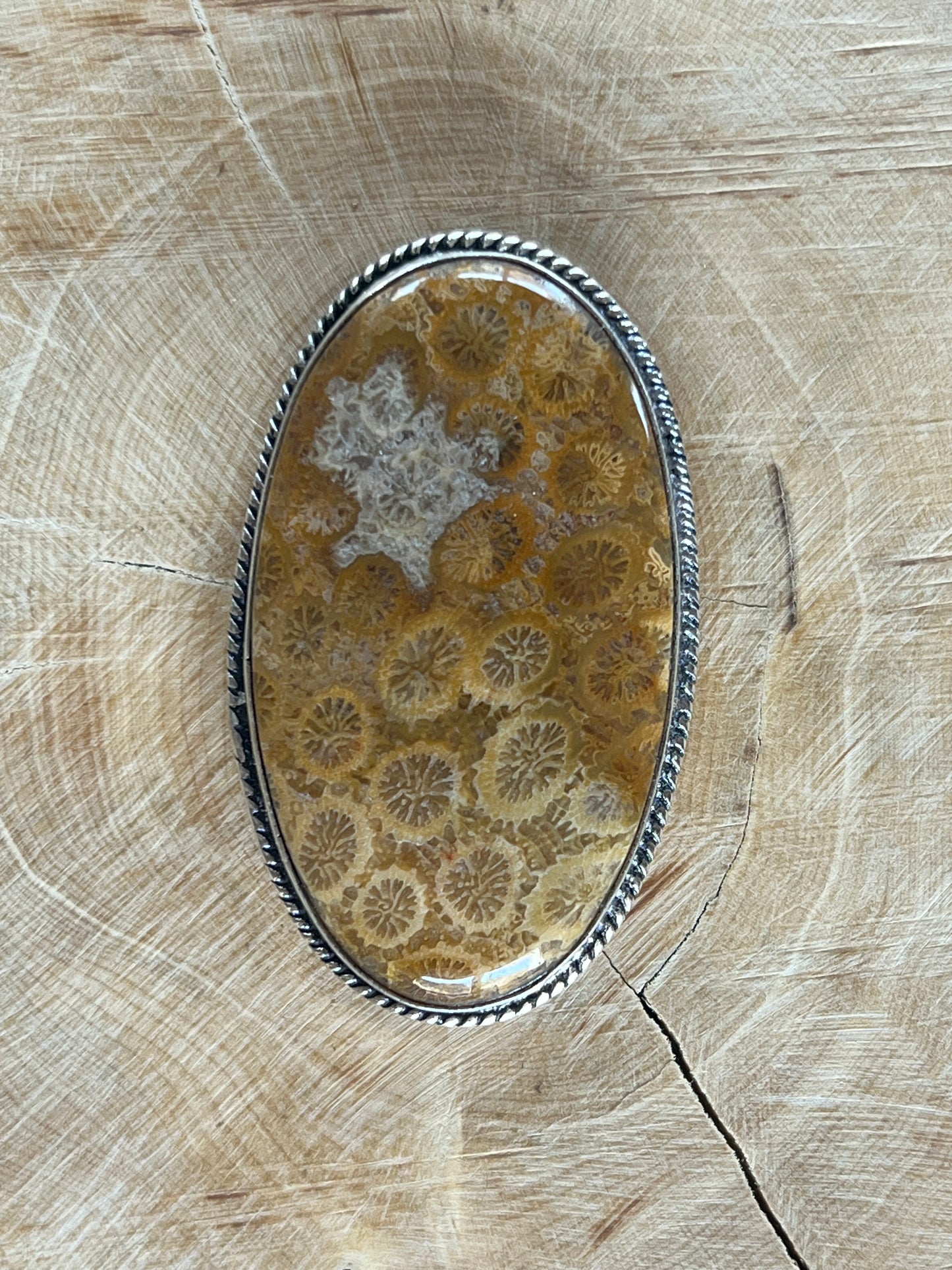 Fossile Corail sertie argenté n°A5 (4,7cm x 2,8cm)