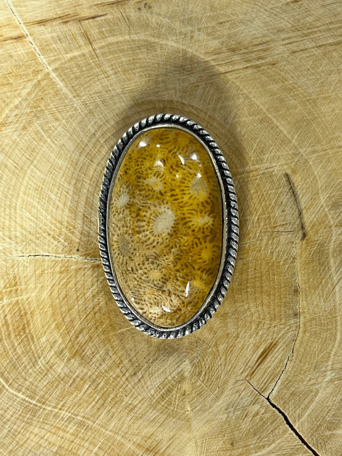 Fossile Corail sertie argenté n°A1 (3,2cm x 2cm)