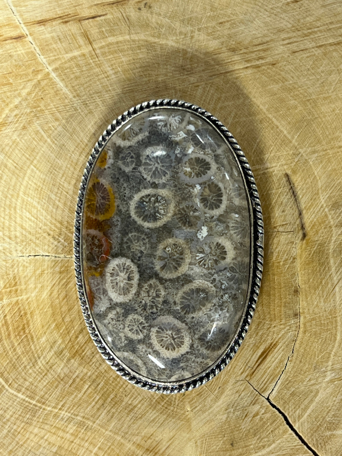 Fossile Corail sertie argenté n°A5 (4,3cm x 2,7cm)