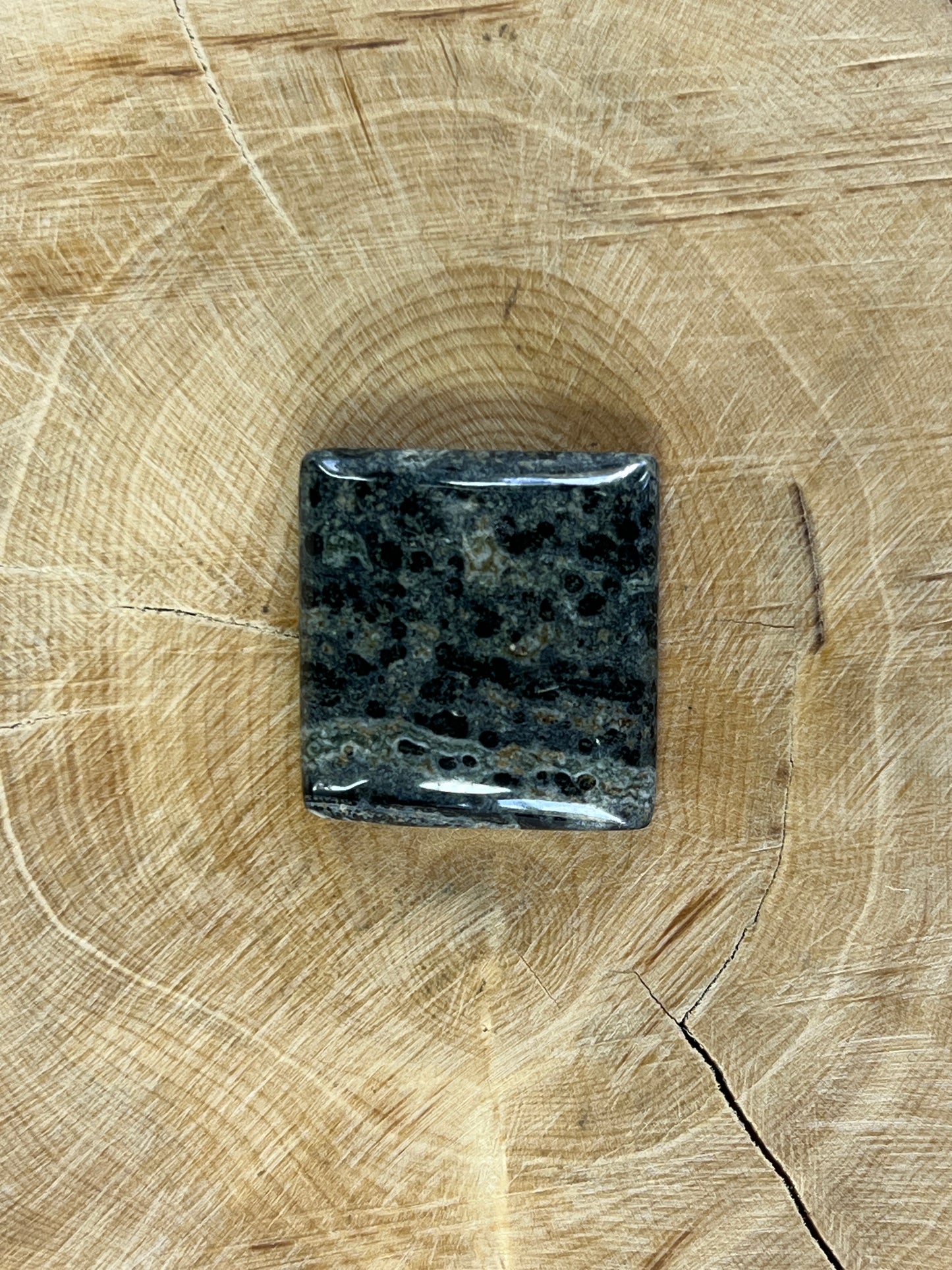 Jaspe Kambaba n°5 (2,3cm x 2,2cm)