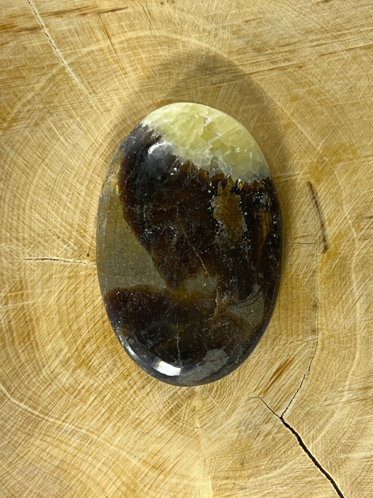 Septaria Jaune n°1 (4cm x 2,7cm)