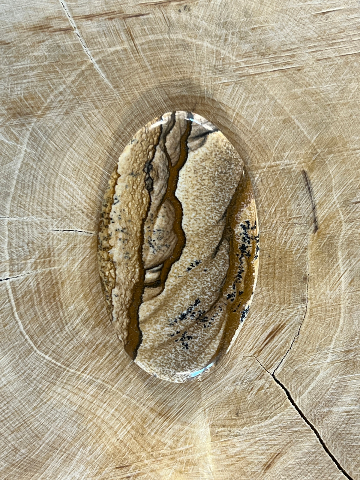 Jaspe Paysage n°1 (4,5cm x 2,6cm)