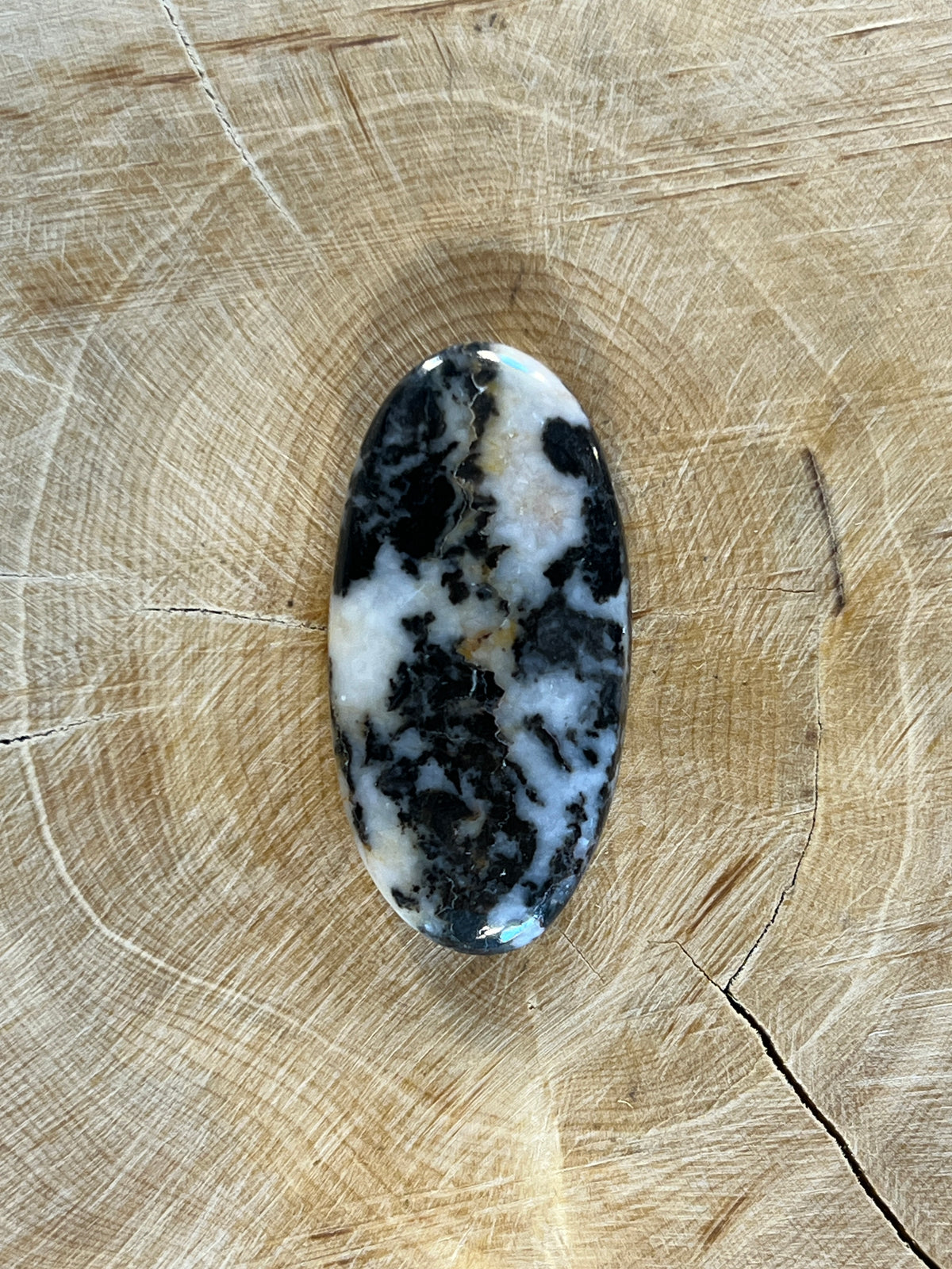 Jaspe zèbre n°5 (3,7cm x 1,8cm)
