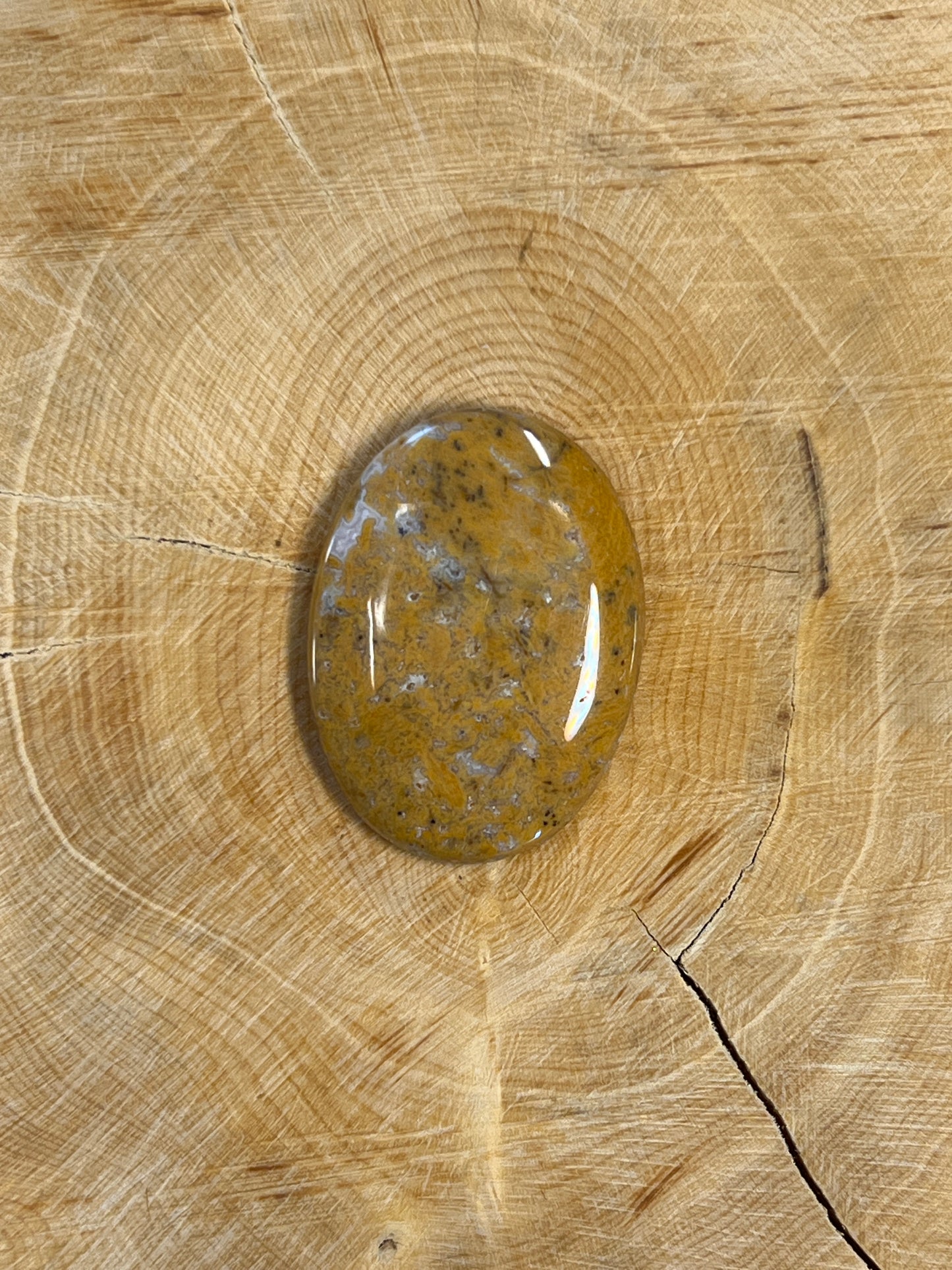 Dendrite Miel n°2 (2,8cm x 2cm)