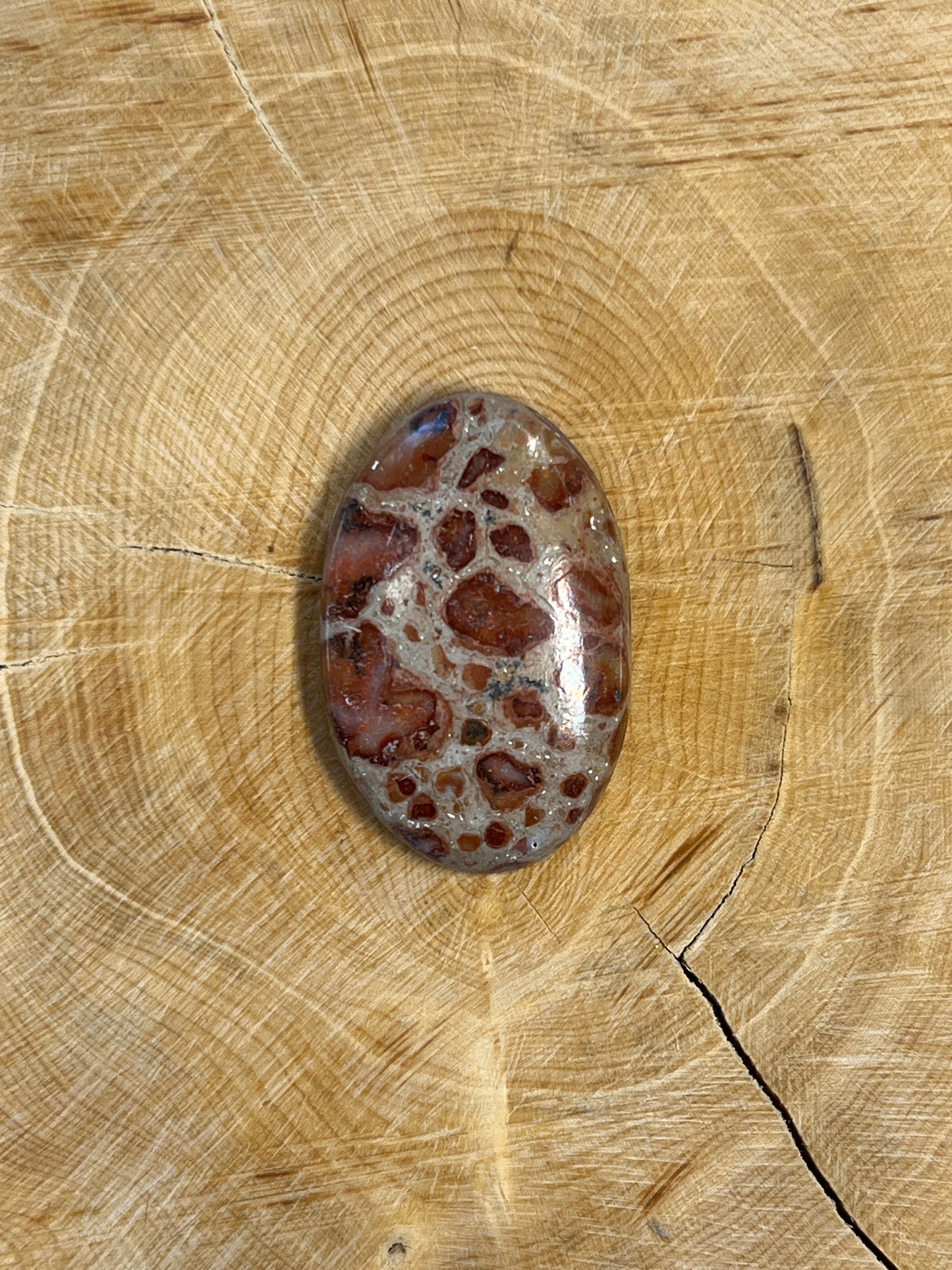 Jaspe Léopard n°4 (3cm x 1,8cm)