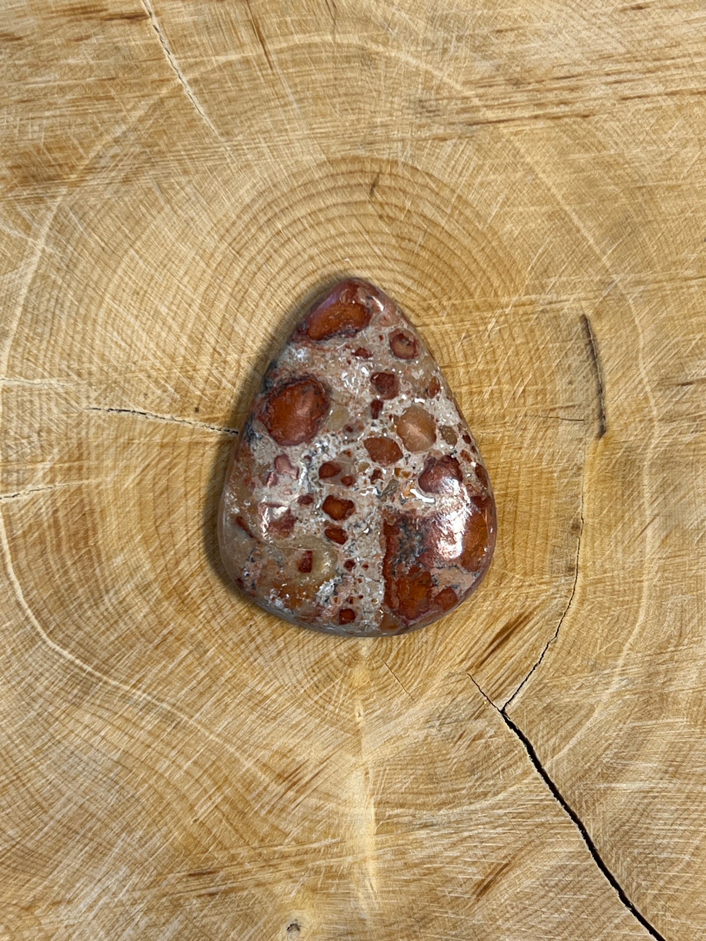 Jaspe Léopard n°1 (2,9cm x 2,4cm )