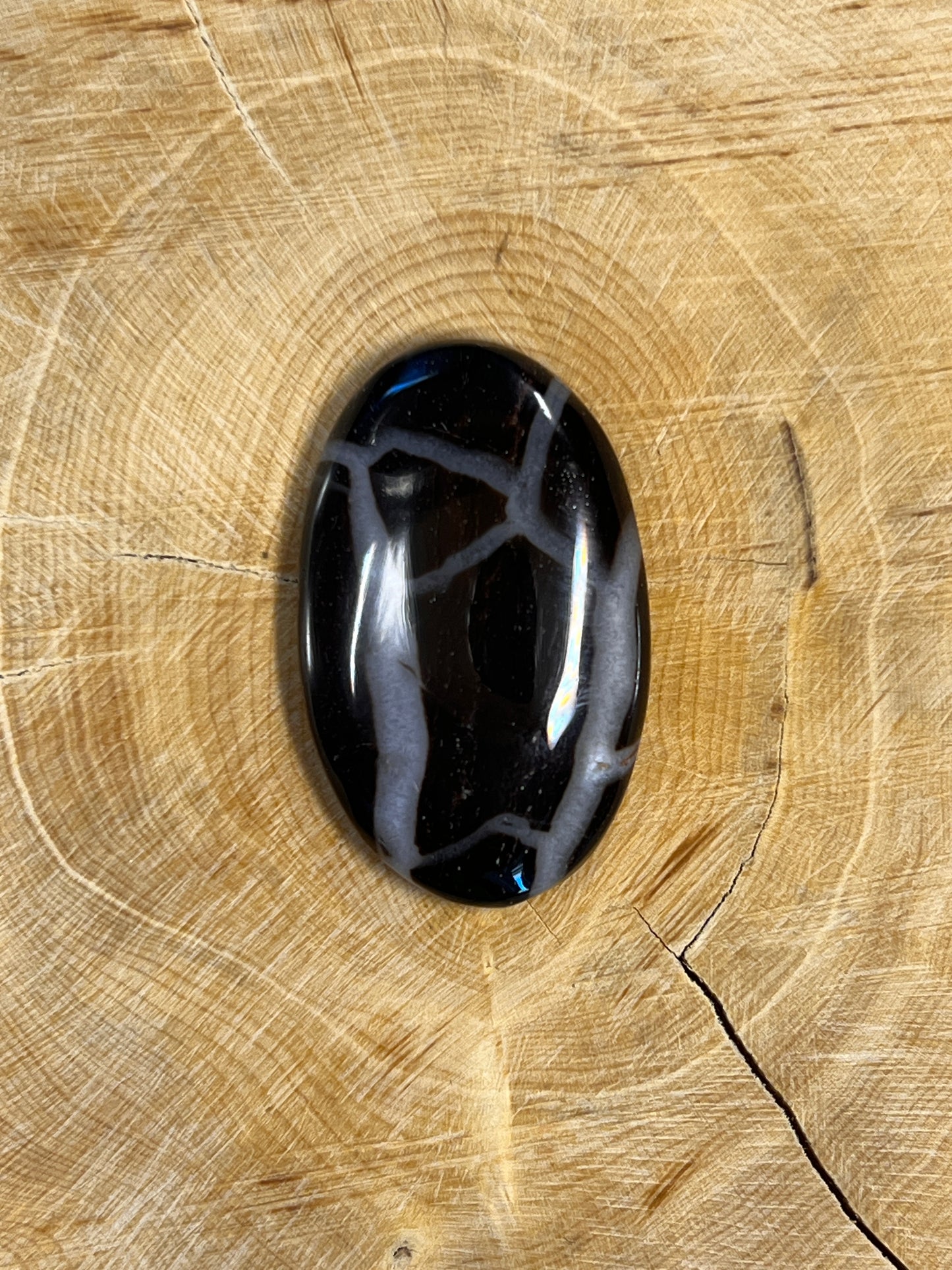 Septaria Noire n°3 (3,4cm x 2,1cm)