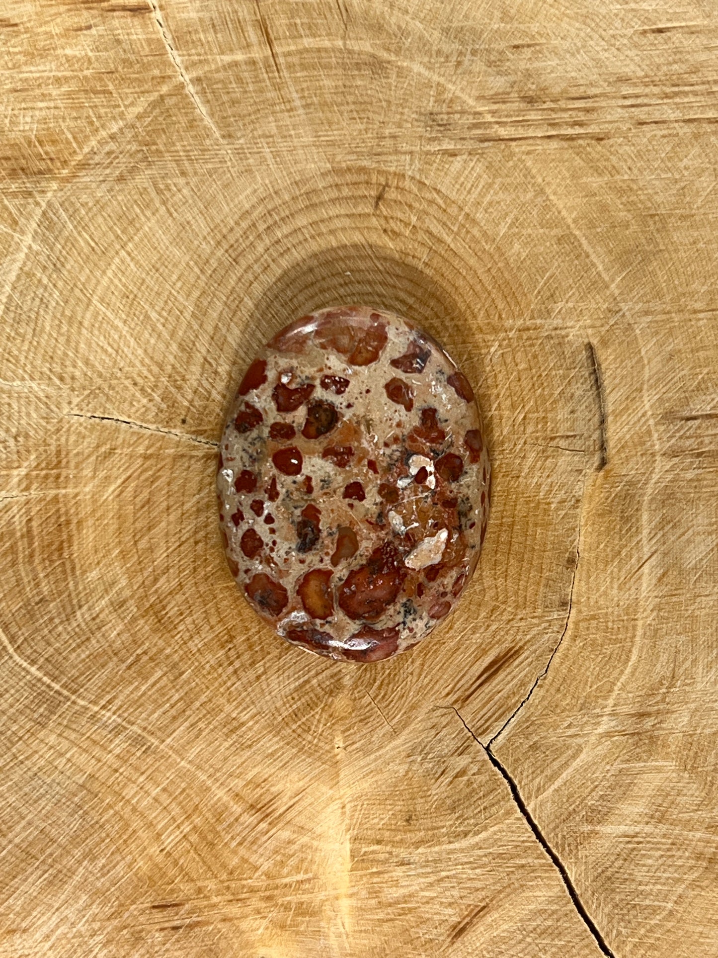 Jaspe Léopard n°2 (2,9cm x 2,2cm)
