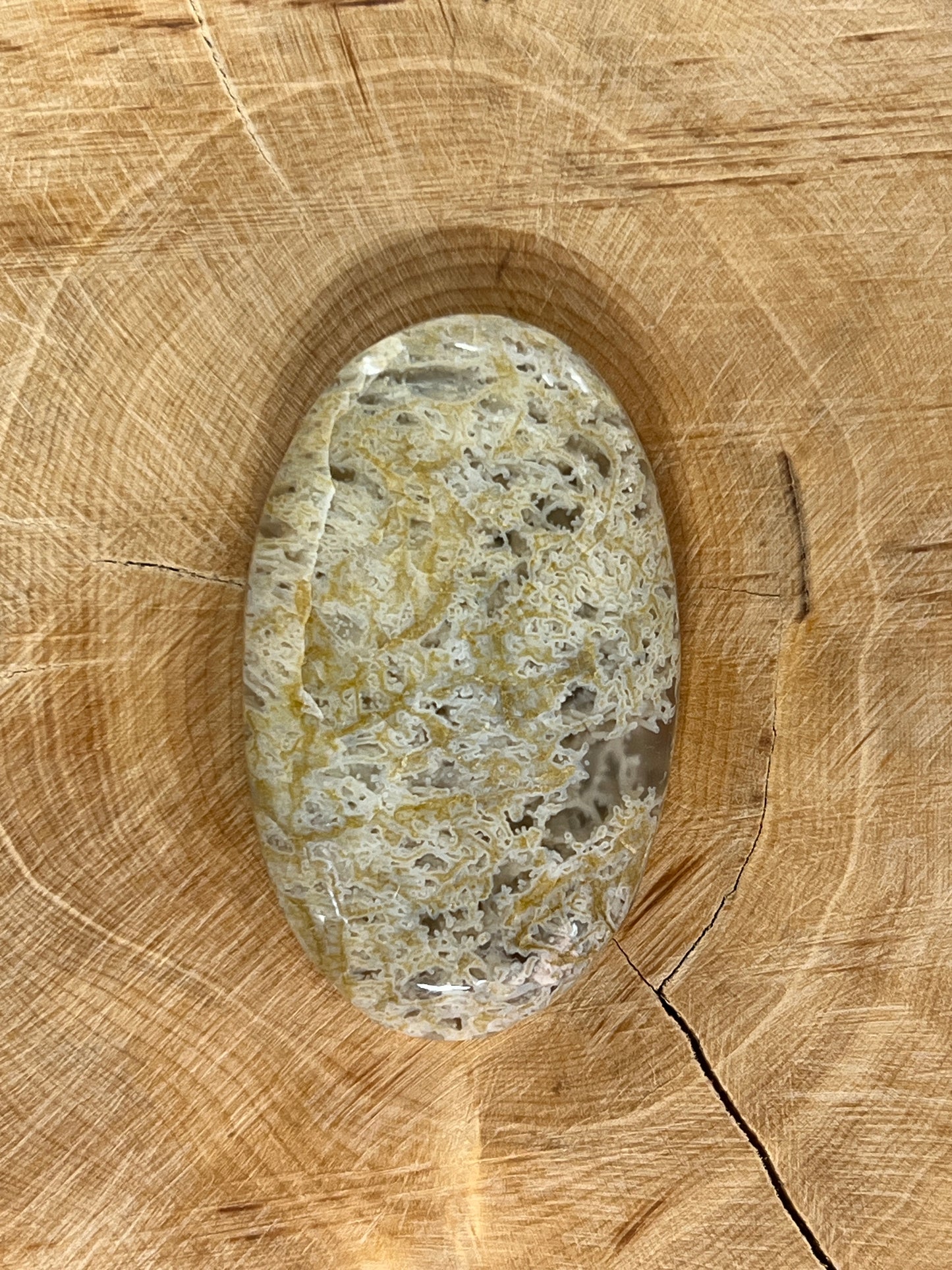 Agate Mousse Jaune n°10 (4,4cm x 2,2cm)