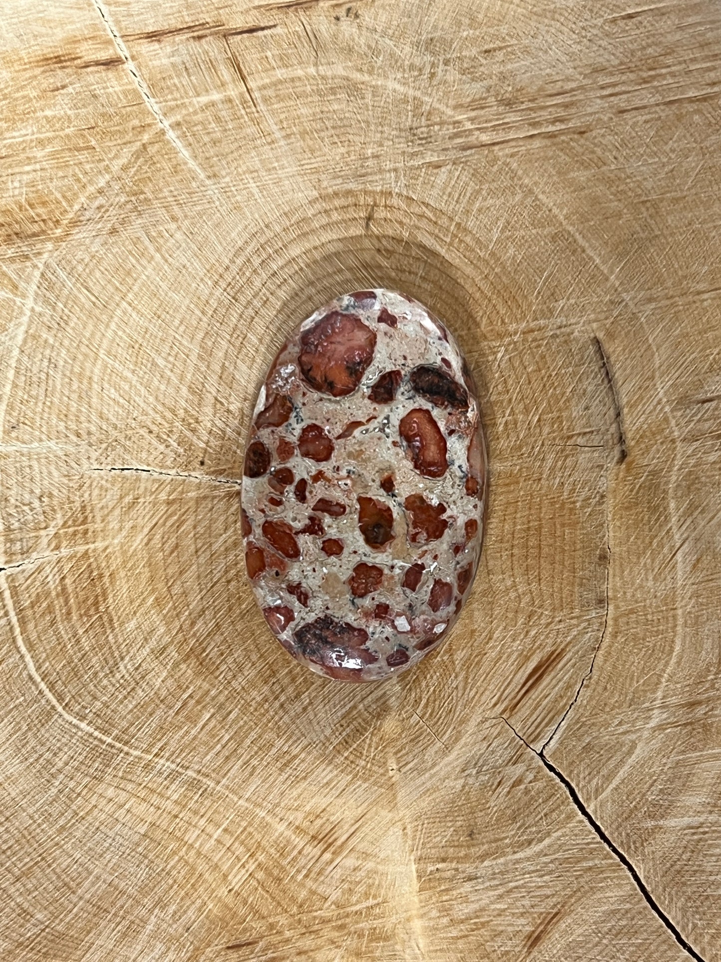 Jaspe Léopard n°2 (3,2cm x 2cm)