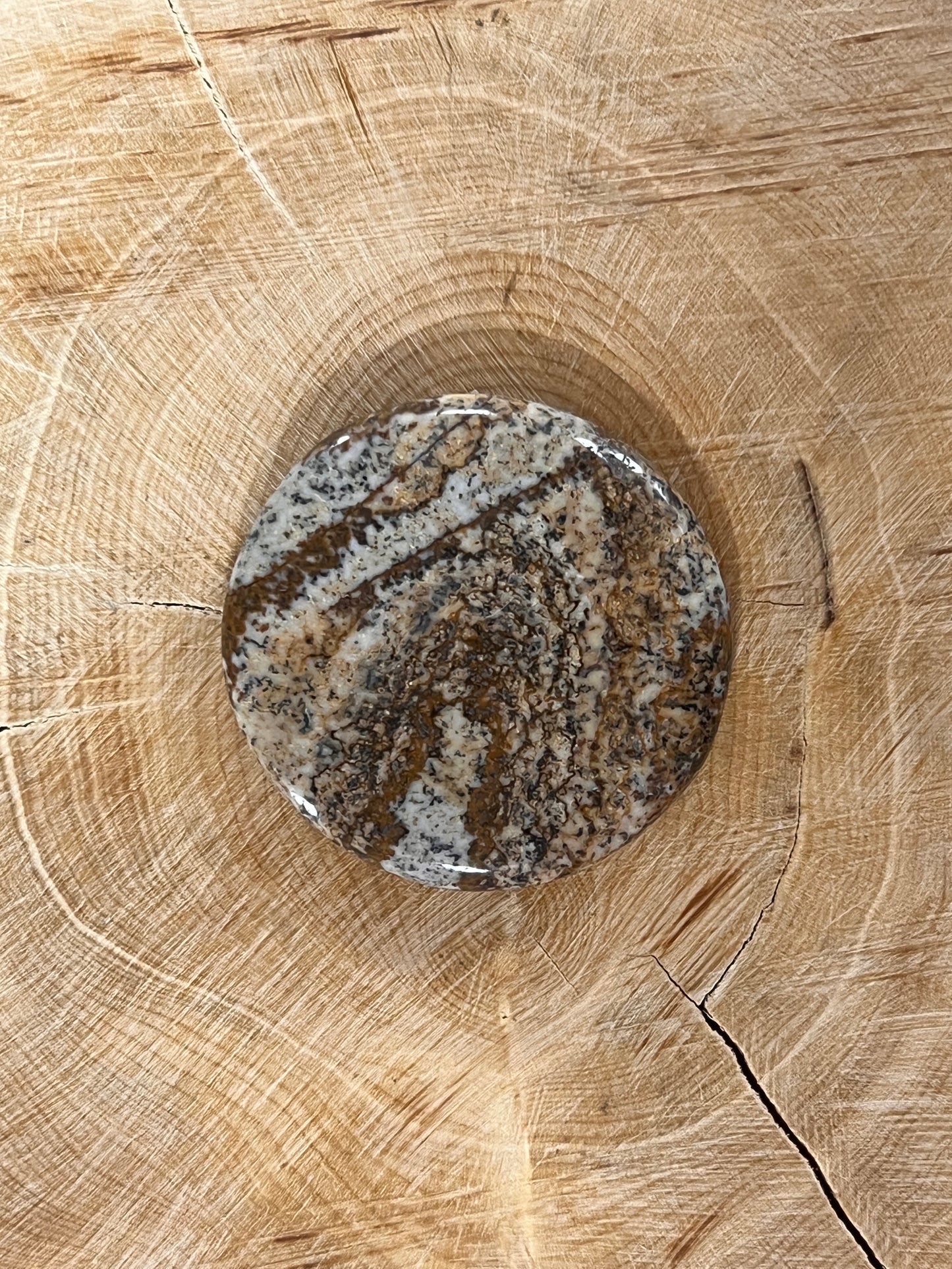 Jaspe Paysage n°5 (3cm de diamètre )