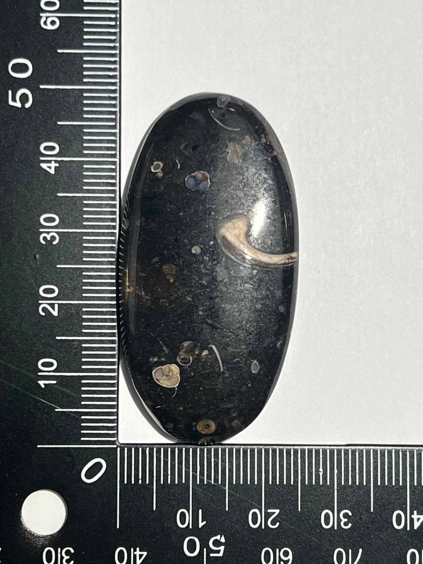 Agate Fossile Turitelle n°3 (4,8cm x 2,4cm) - Solyluna Macramé