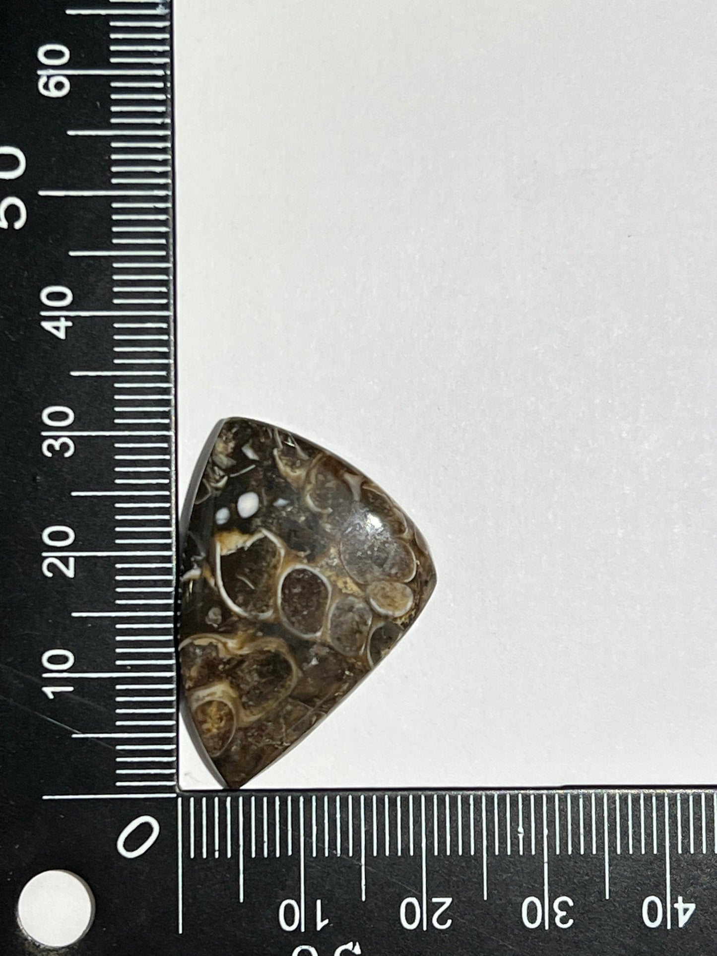 Agate Fossile Turitelle n°5 (3cm x 2,2cm) - Solyluna Macramé