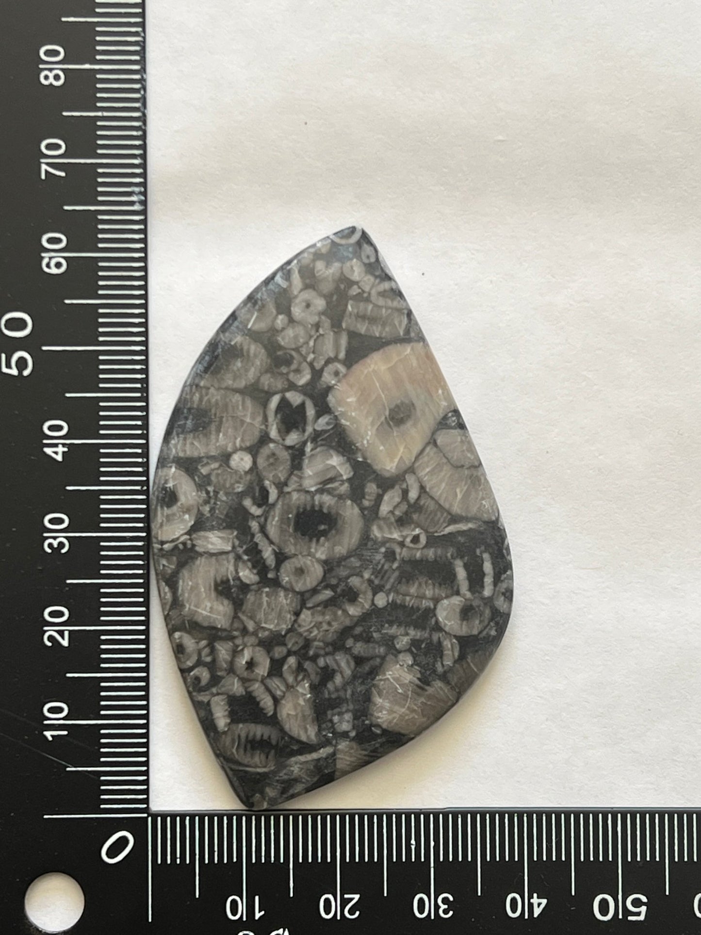 Crinoïde Fossile n°1 (6,4cm x 3,8cm) - Solyluna Macramé