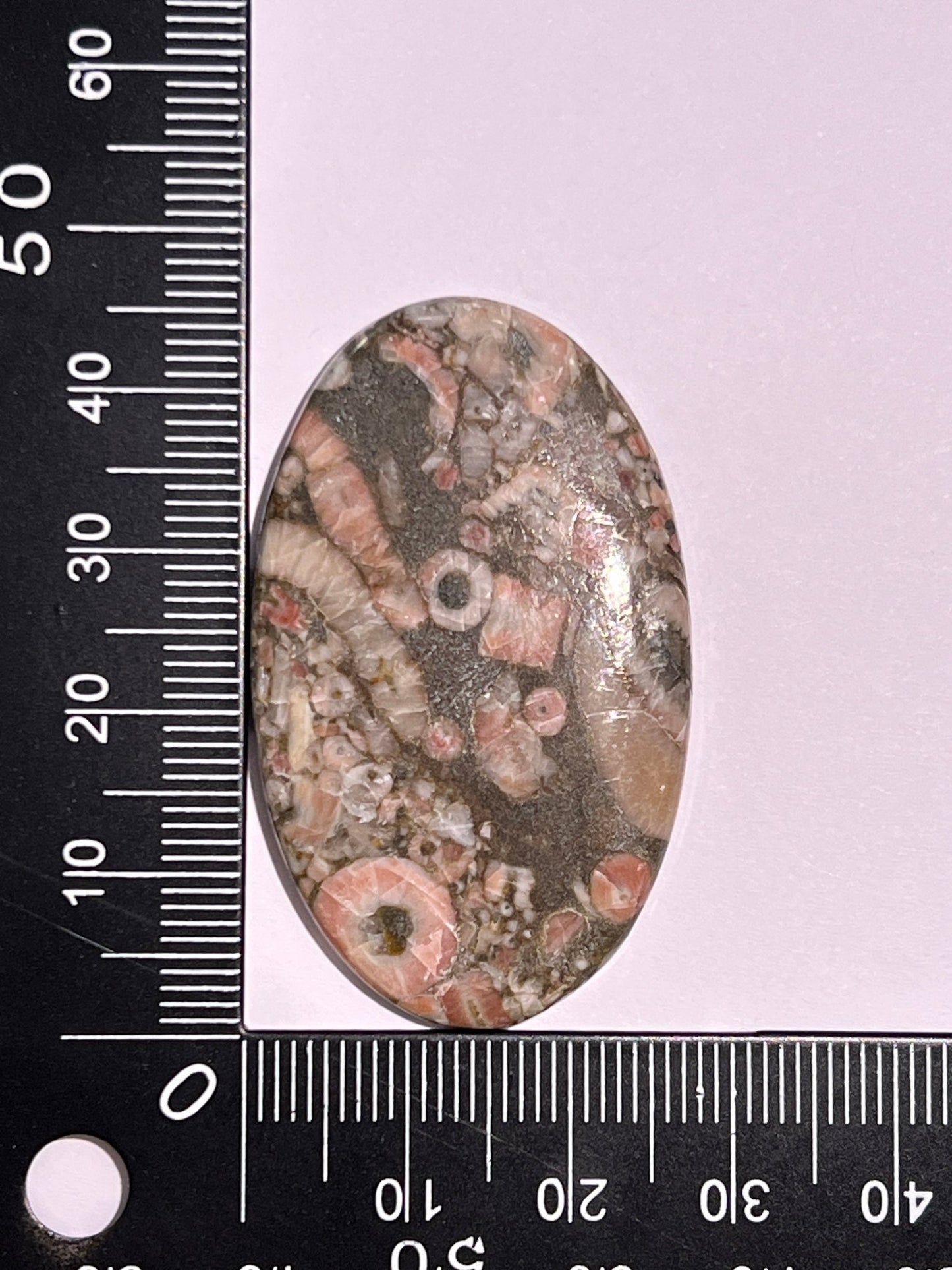 Crinoïde Fossile n°2 (4,6cm x 2,7cm) - Solyluna Macramé