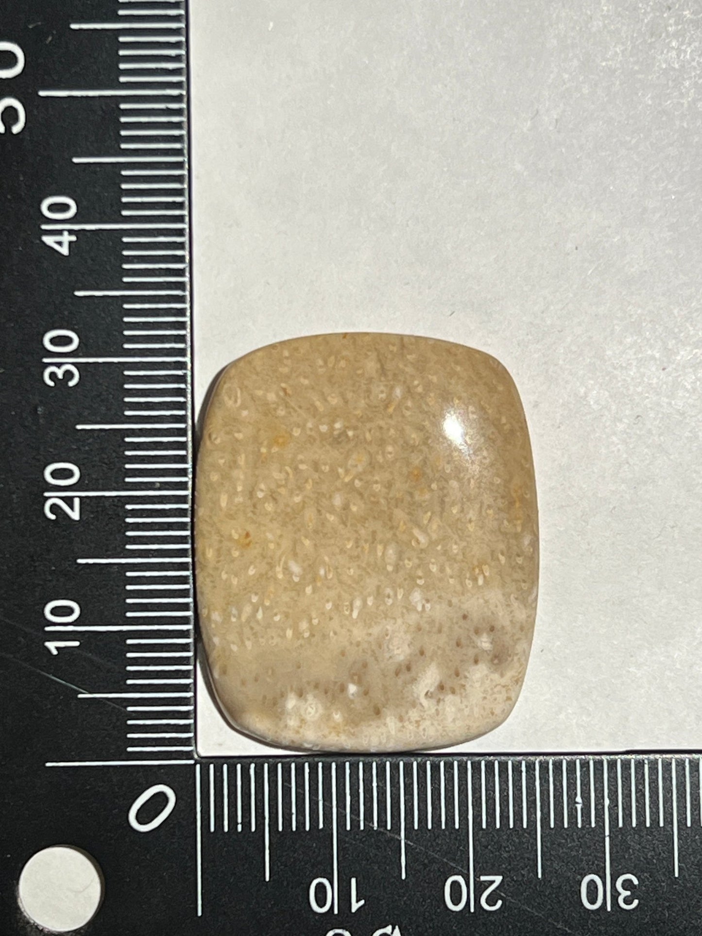 Jaspe Bois De Palmier n°1 (3,2cm x 2,5cm) - Solyluna Macramé