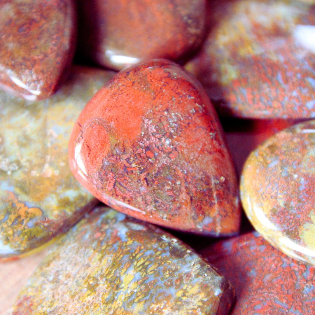 Stromatolite Rouge