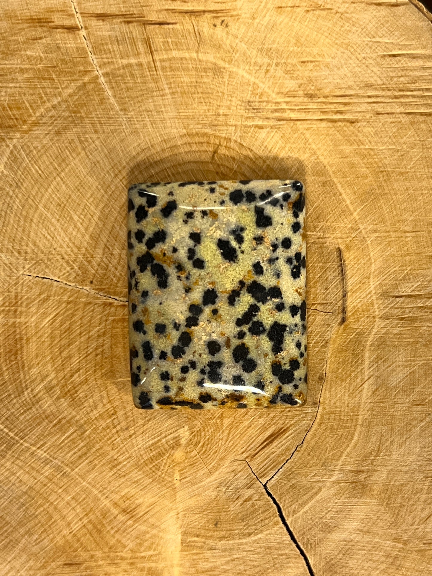 Jaspe Dalmatien n°3 (3cm x 2,4cm)
