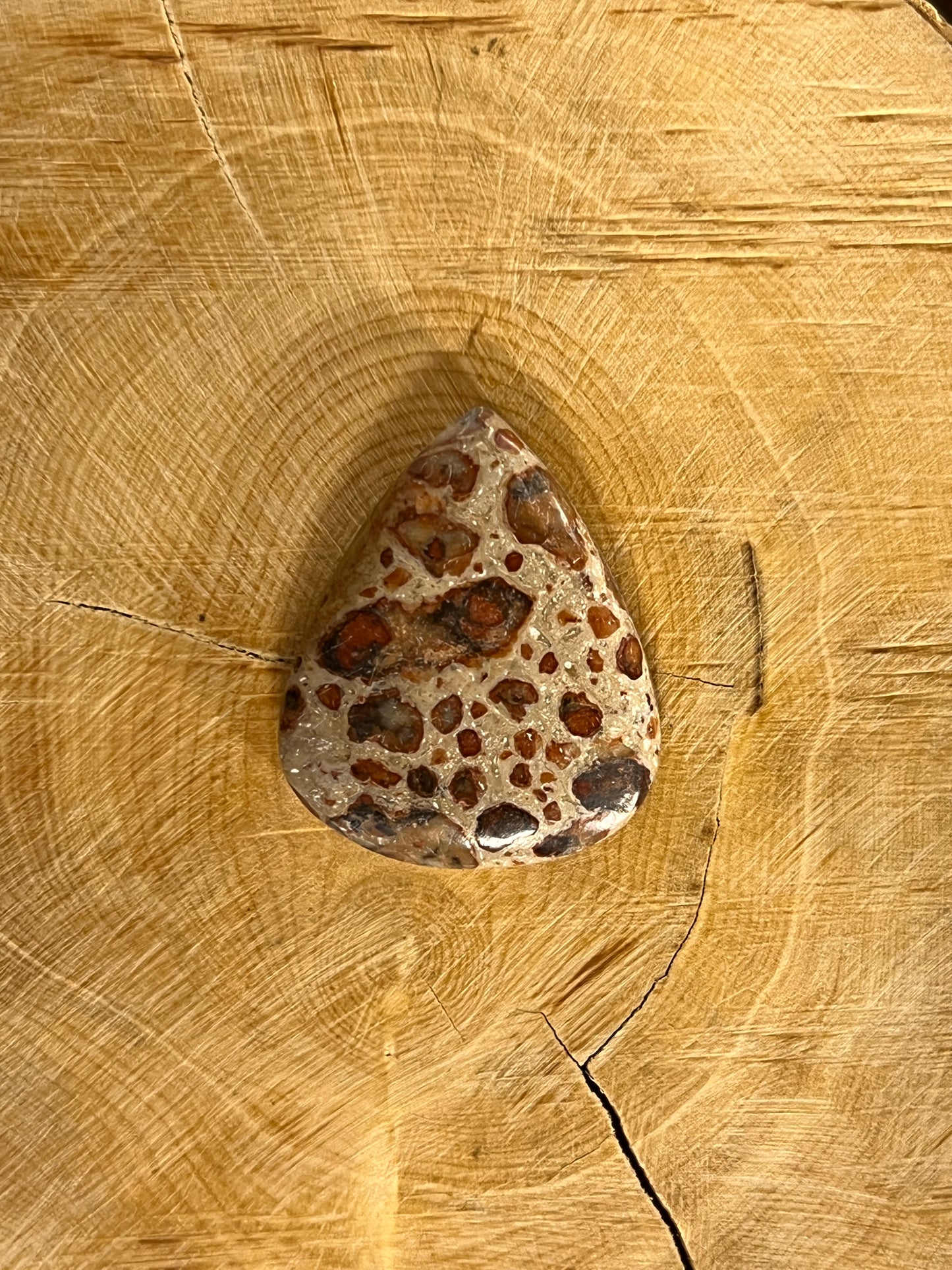 Jaspe Léopard n°3 (2,8cm x 2,2cm)