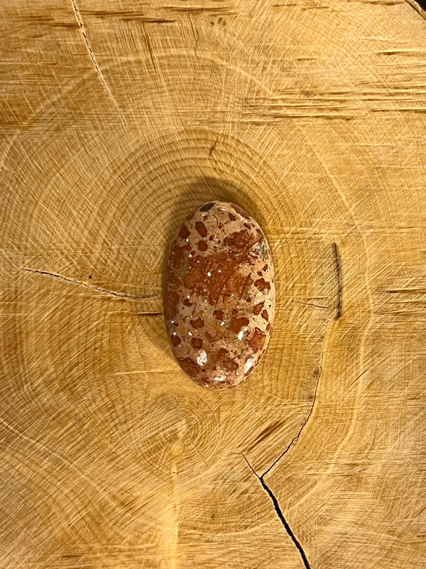 Jaspe Léopard n°4 (2cm x 1,5cm)