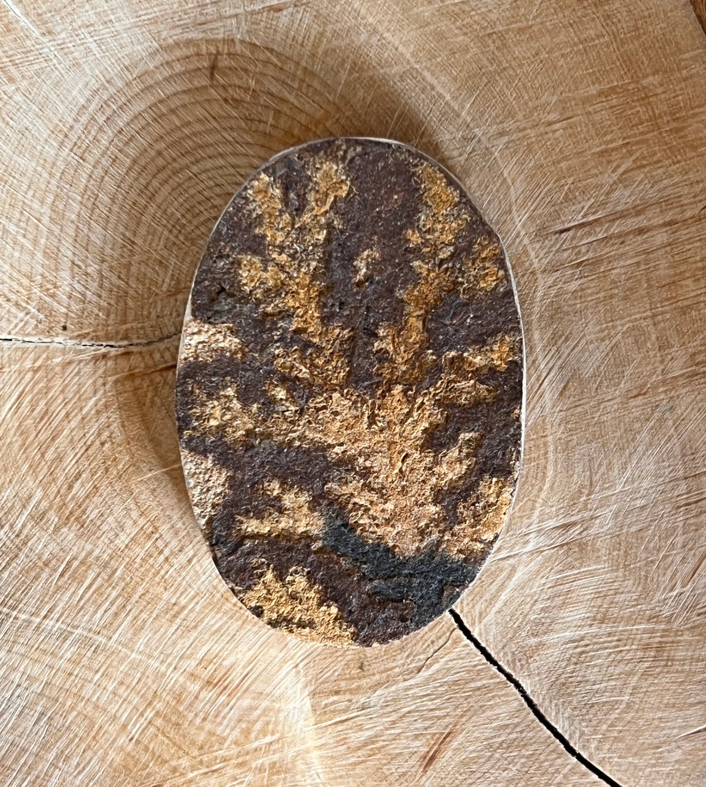 Psilomélane Dendritique n°2 (4cm x 2,7cm)