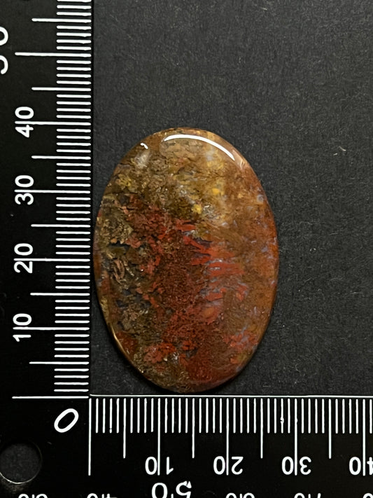 Stromatolite Rouge n°3 (4cm x 2,8cm)