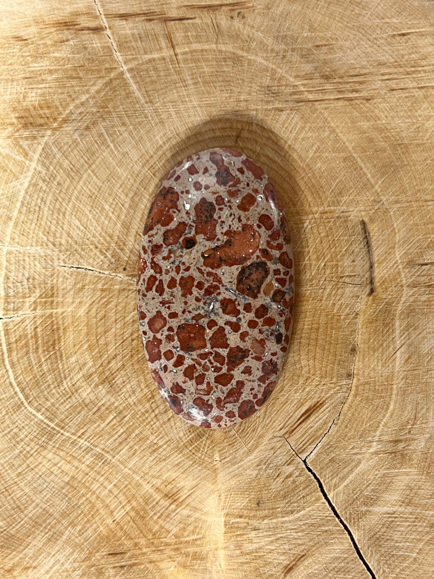 Jaspe Léopard n°4 (3,9cm x 2,1cm)