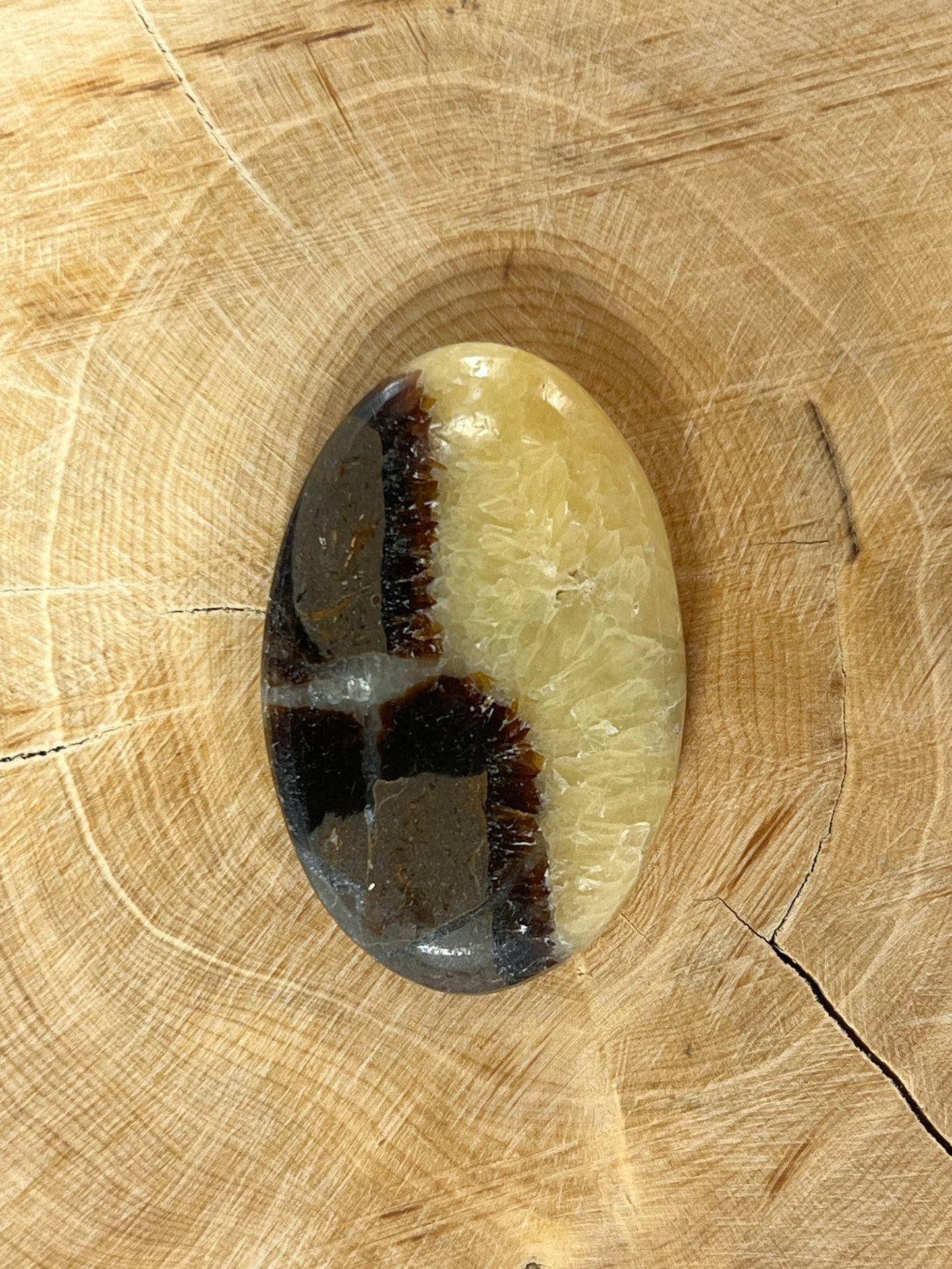 Septaria Jaune n°4 (4,1cm x 2,6cm)