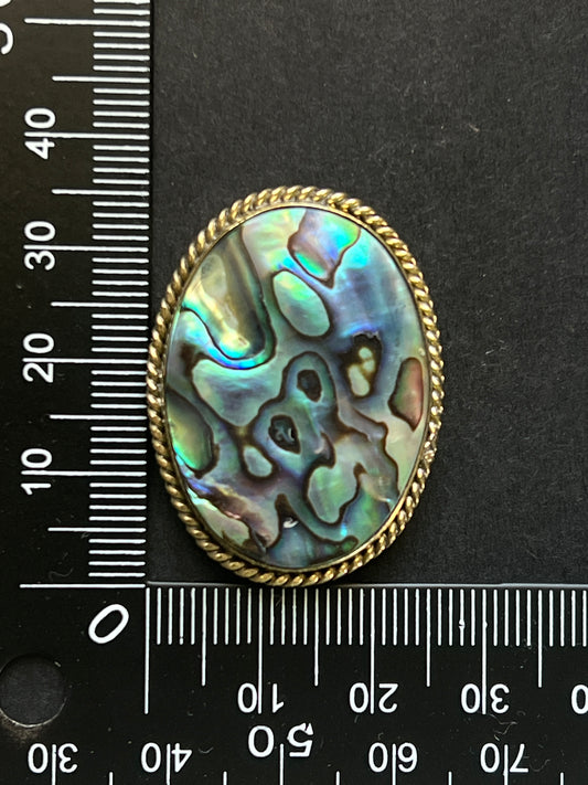 Abalone Shell sertie n°5 (3,6cm x 2,6cm)