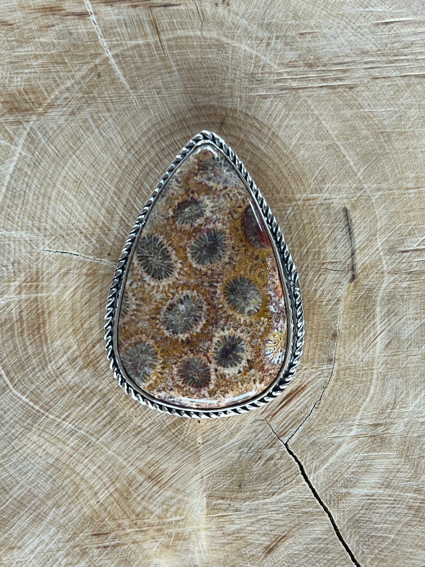 Fossile Corail sertie argenté n°A1 (3,9cm x 2,5cm)