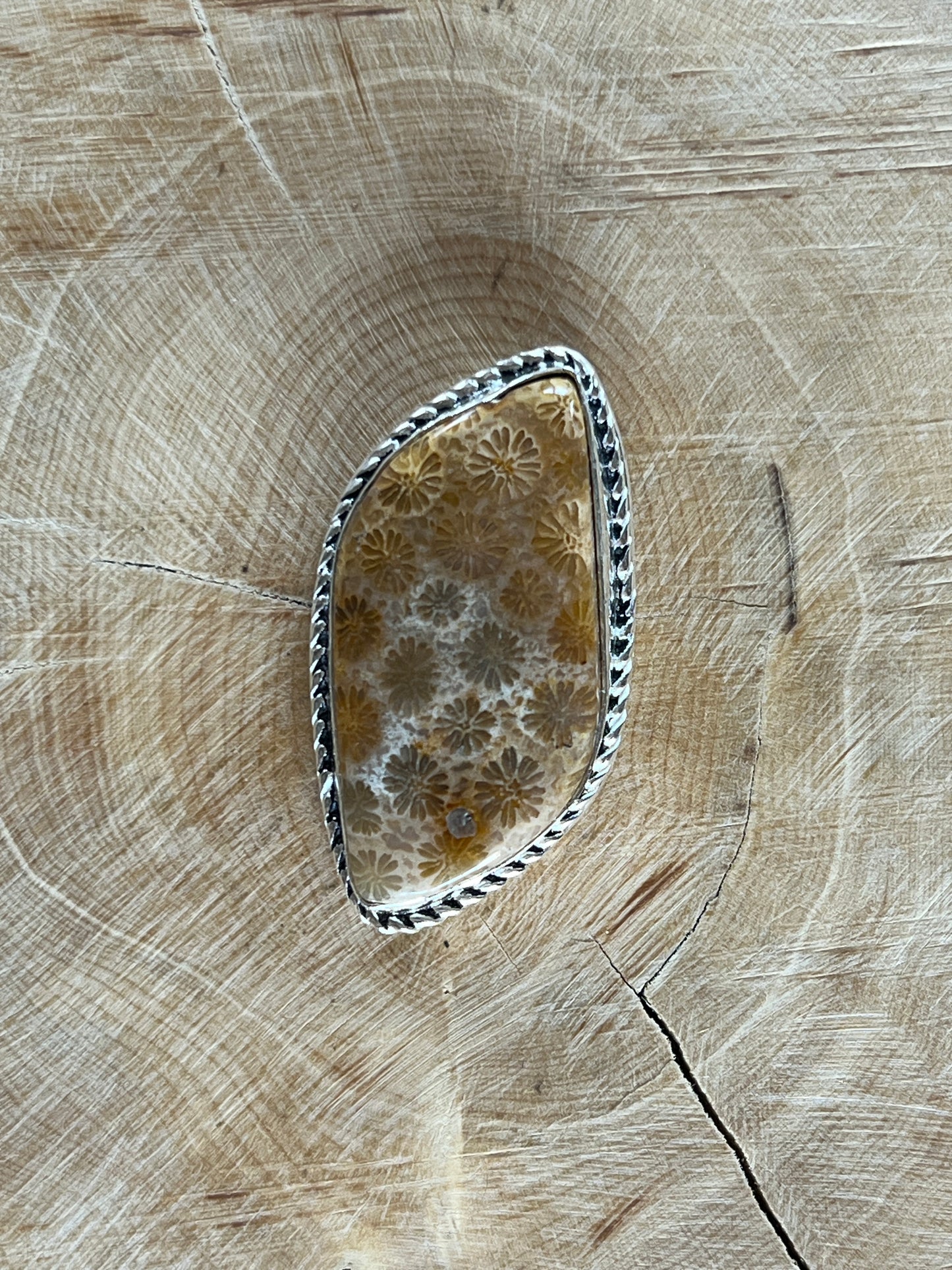 Fossile Corail sertie argenté n°A4 (3,7cm x 2cm)