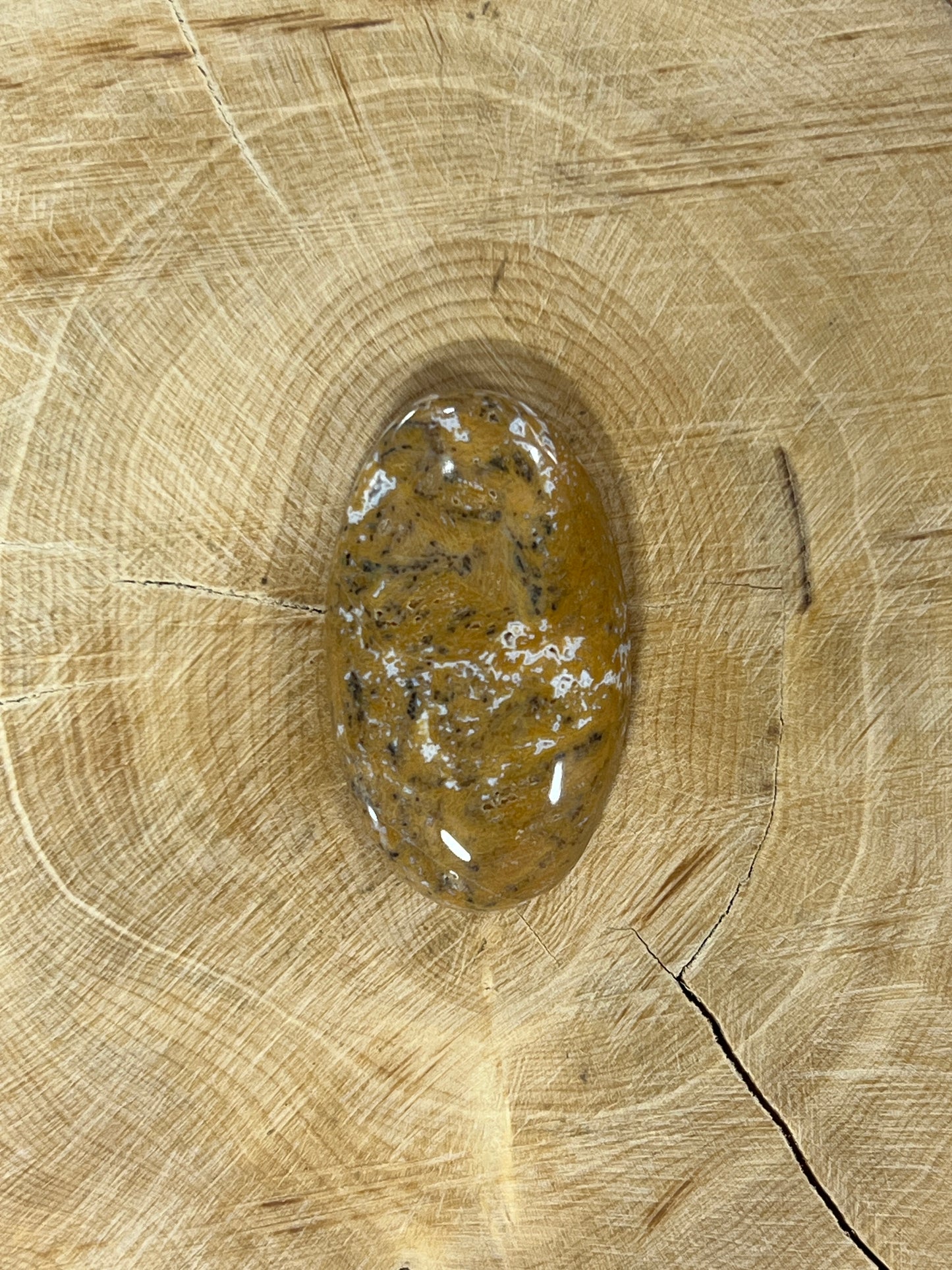 Dendrite Miel n°5 (3,3cm x 2cm)