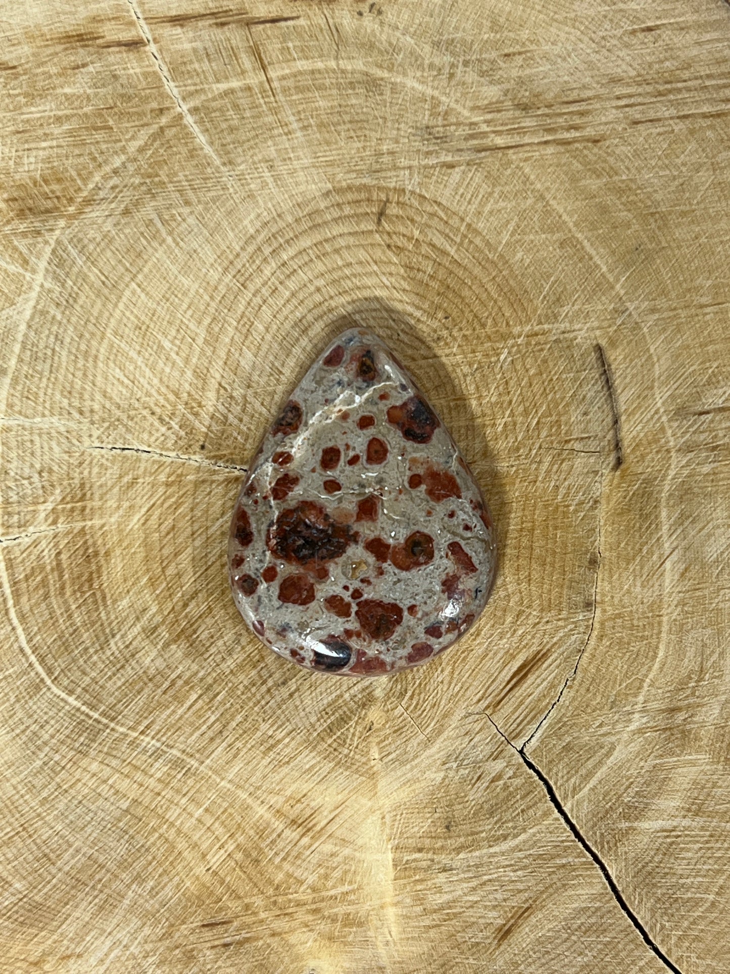 Jaspe Léopard n°5 (2,9cm x 2,2cm)