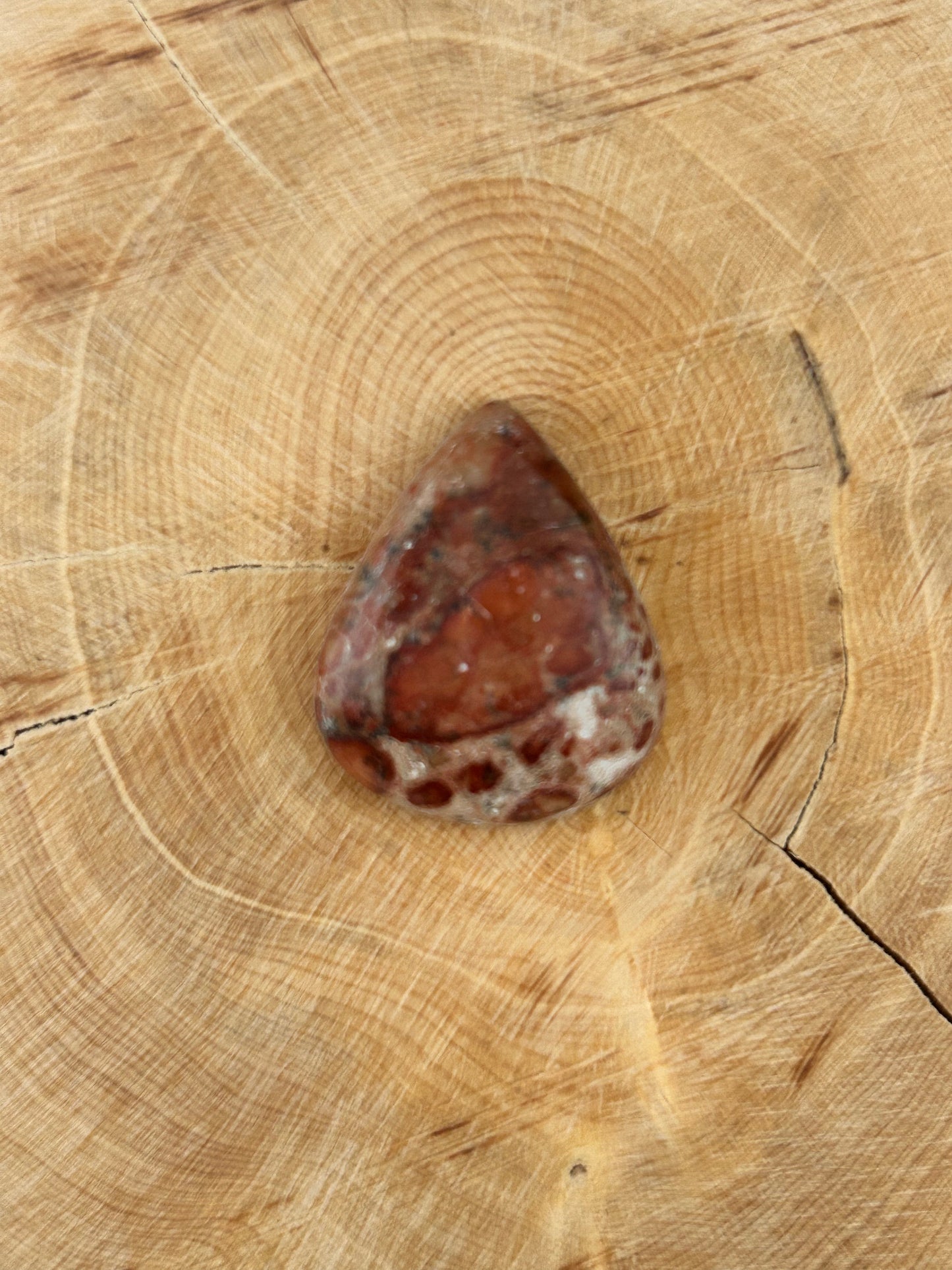 Jaspe Léopard n°3 (2,7 cm x 2,3 cm)