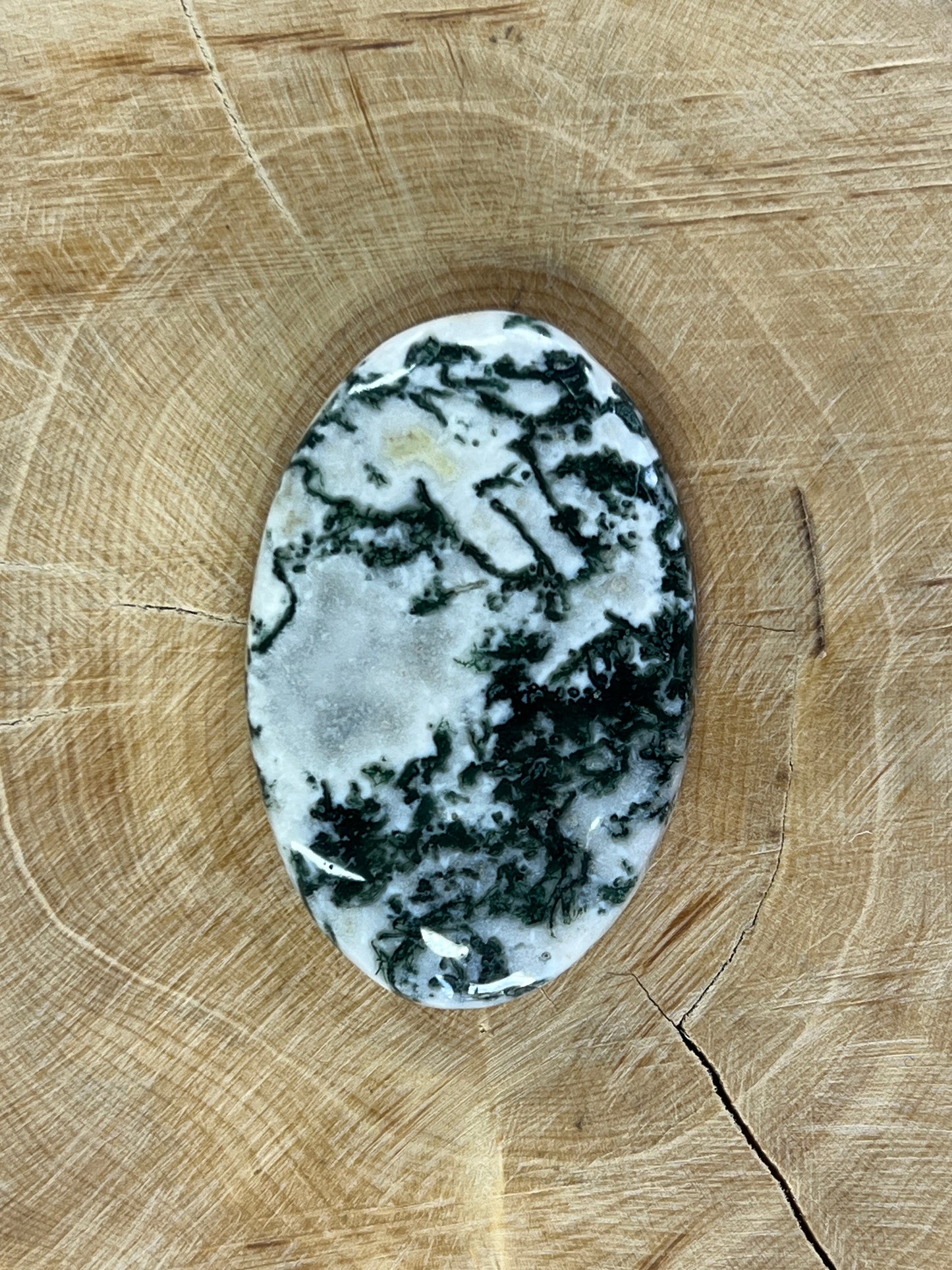 Agate Tree n°2 (4,2cm x 2,8cm)