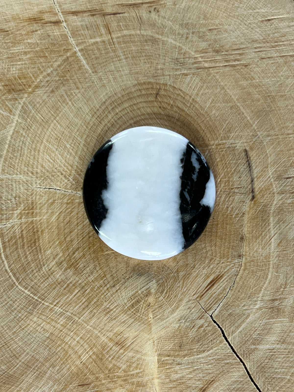 Jaspe zèbre n°4 (2,6cm de diamètre)