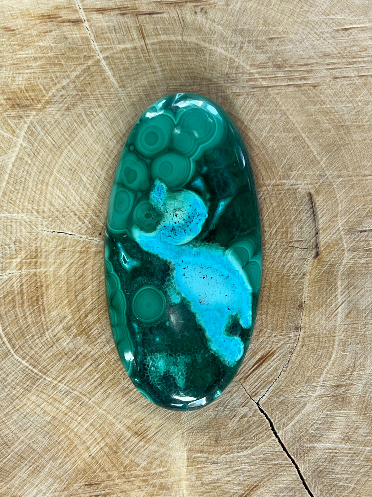Malachite n°1 (4,9cm x 2,4cm)