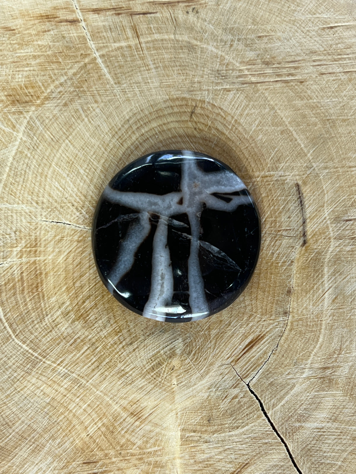 Septaria Noire n°4 (2,7cm x 2,7cm)