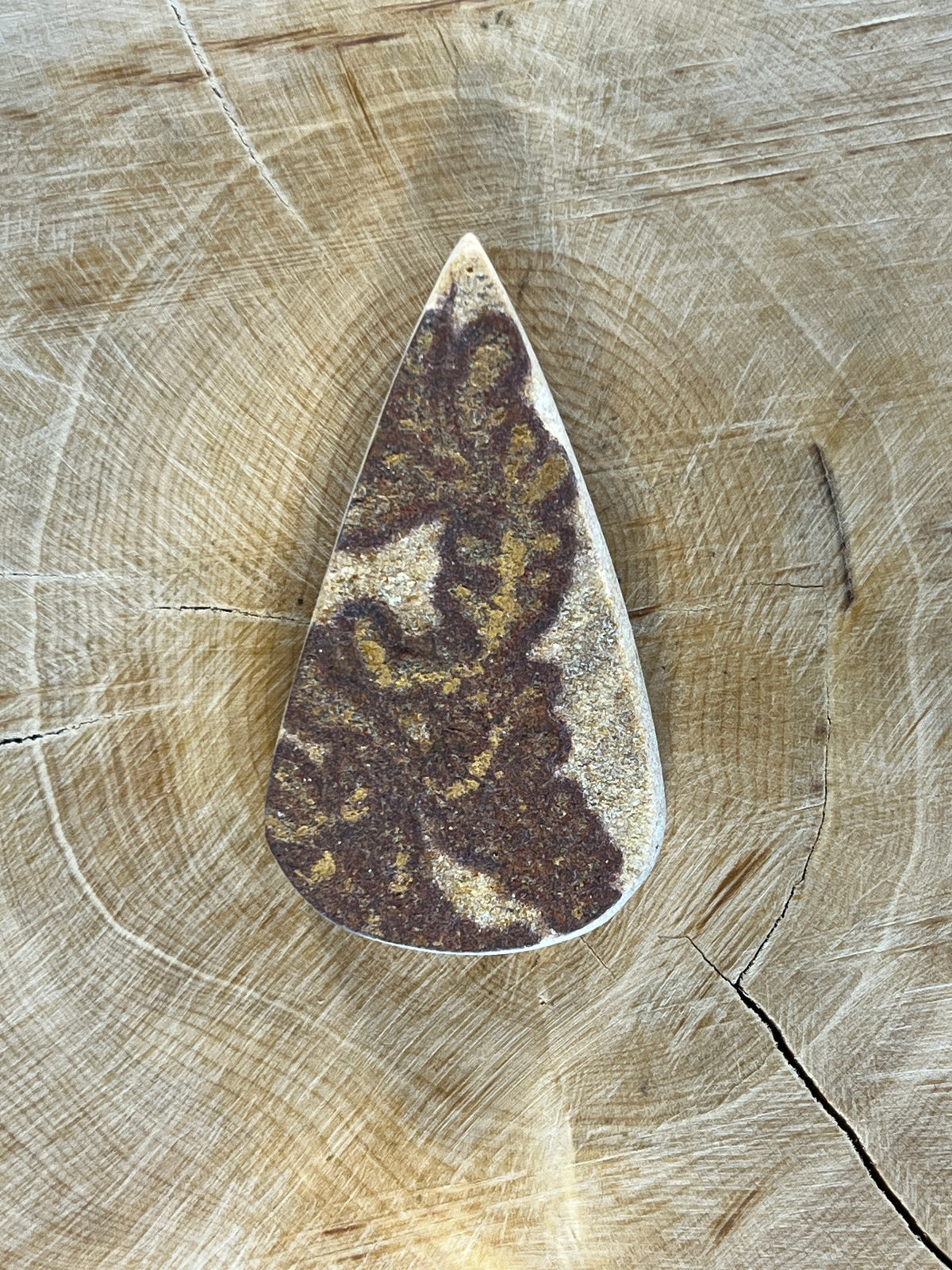 Psilomélane Dendritique n°2 (4,2cm x 2,5cm)