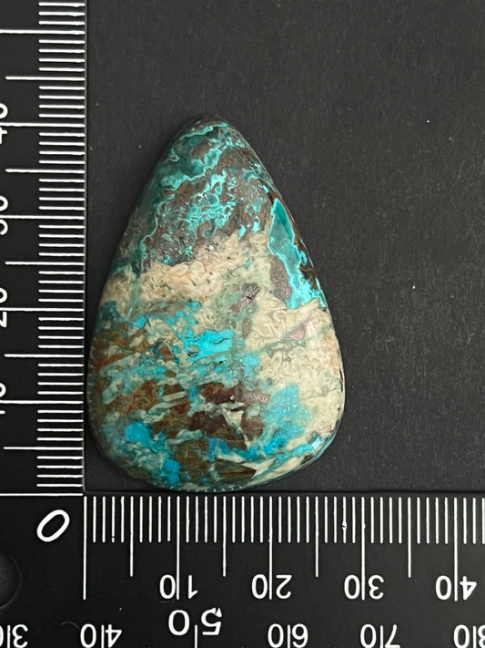 Chrysocolle n°1 (4,2cm x 3cm)