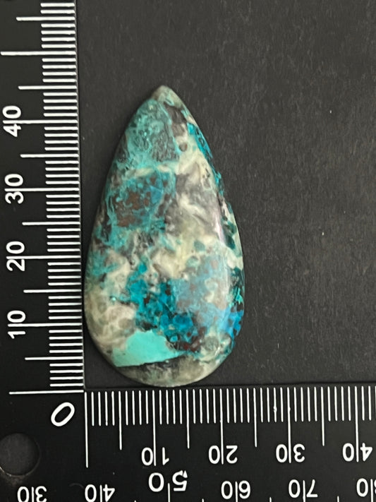 Chrysocolle n°5 (4,6cm x 2,5cm)