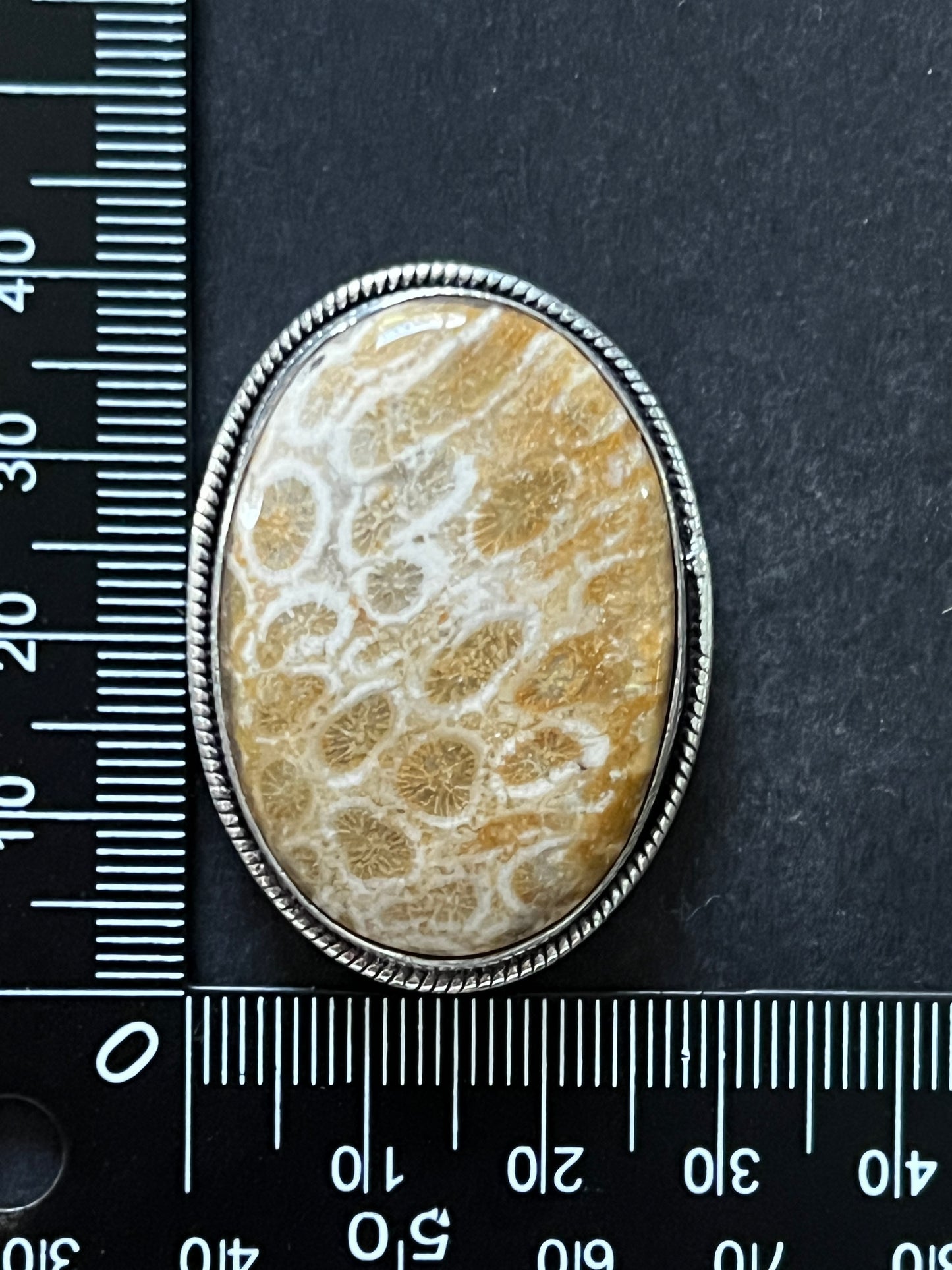 Fossile Corail sertie n°A5 (4,2cm x 3,3cm)