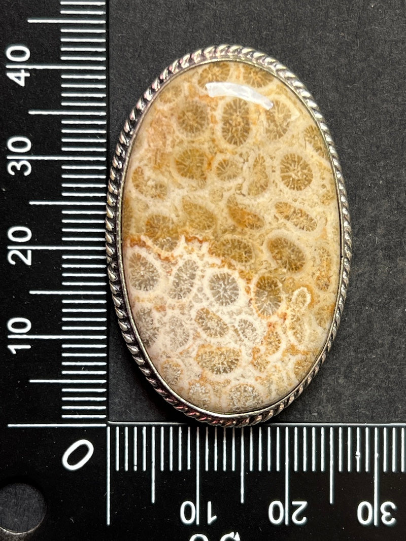 Fossile Corail sertie n°A4 (4,1cmx 2cm)