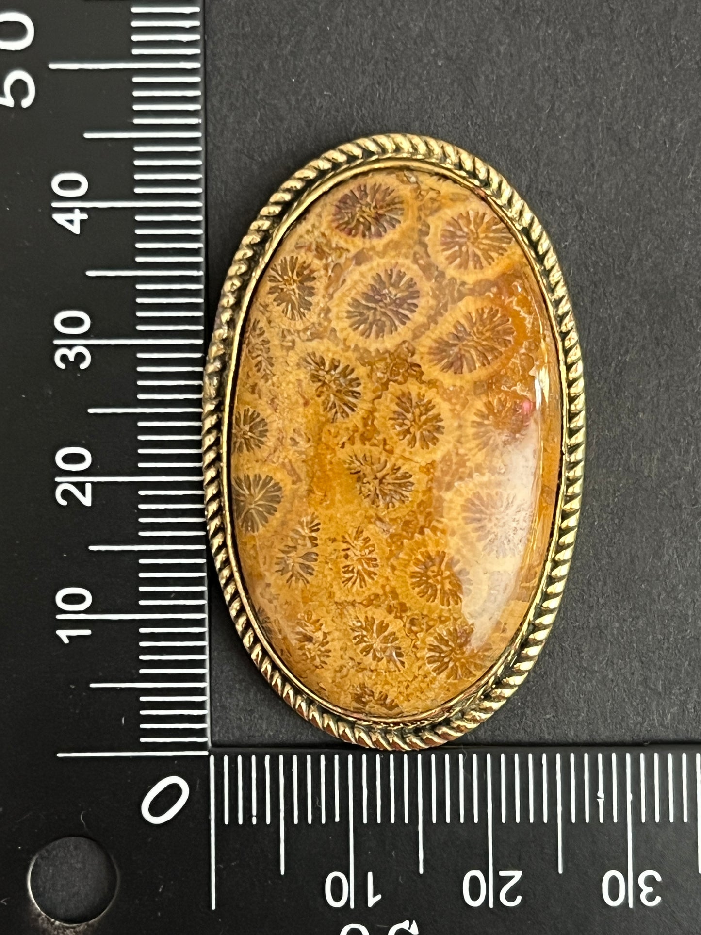 Fossile Corail sertie n°D3 (4,4cm x 2,7cm)