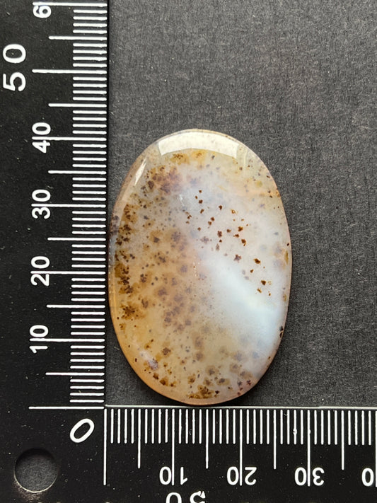 Agate n°1 (4cm x 2,5cm)