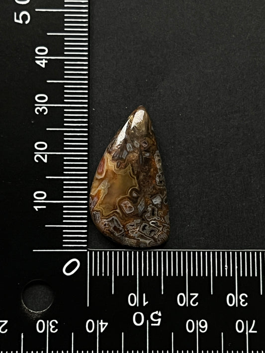 Agate Turkey n°2 (3cm x 2,1cm)